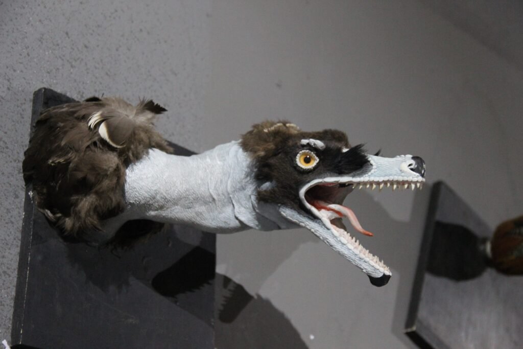 The Puzzle of Patchy Plumage: Did Some Dinosaurs Shed Like Reptiles and Birds?