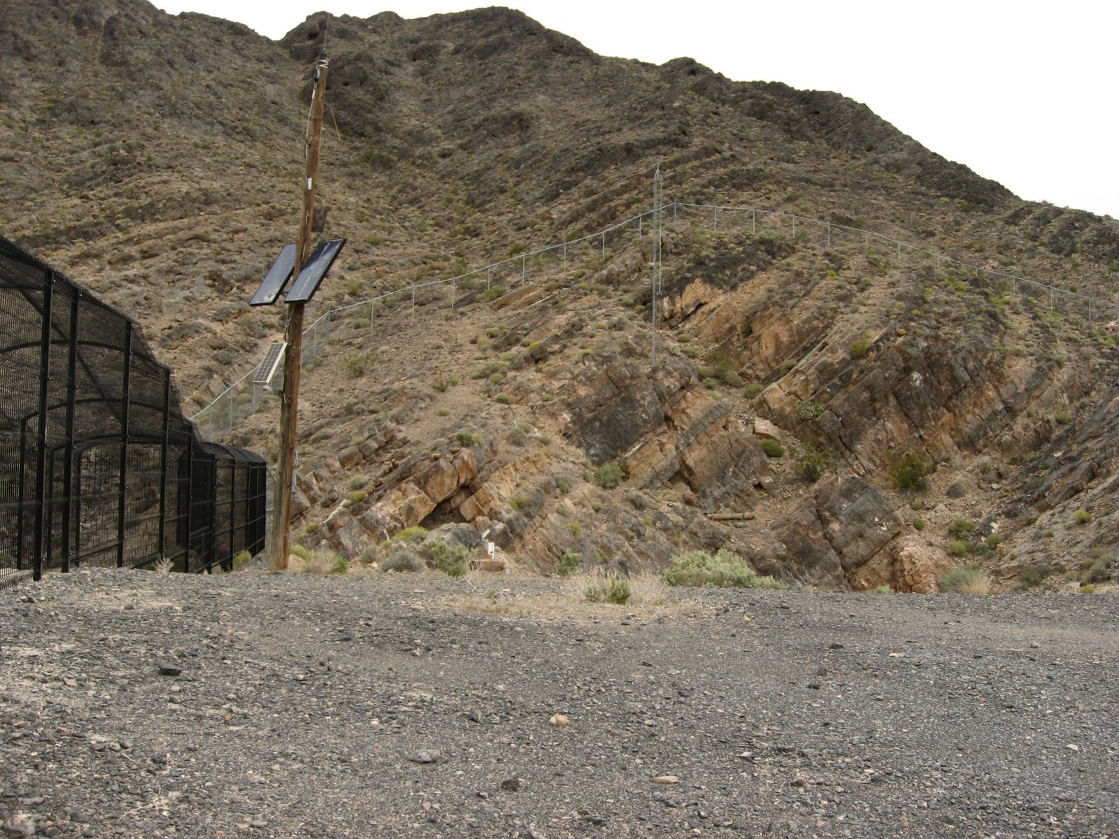 The Domino Effect on Agriculture (image credits: wikimedia)