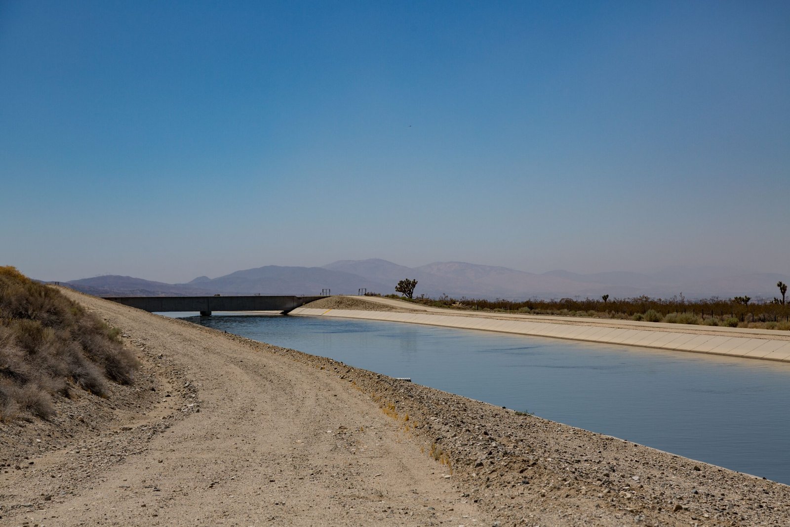 The Impact on Los Angeles: A Metropolis Emerges (image credits: wikimedia)