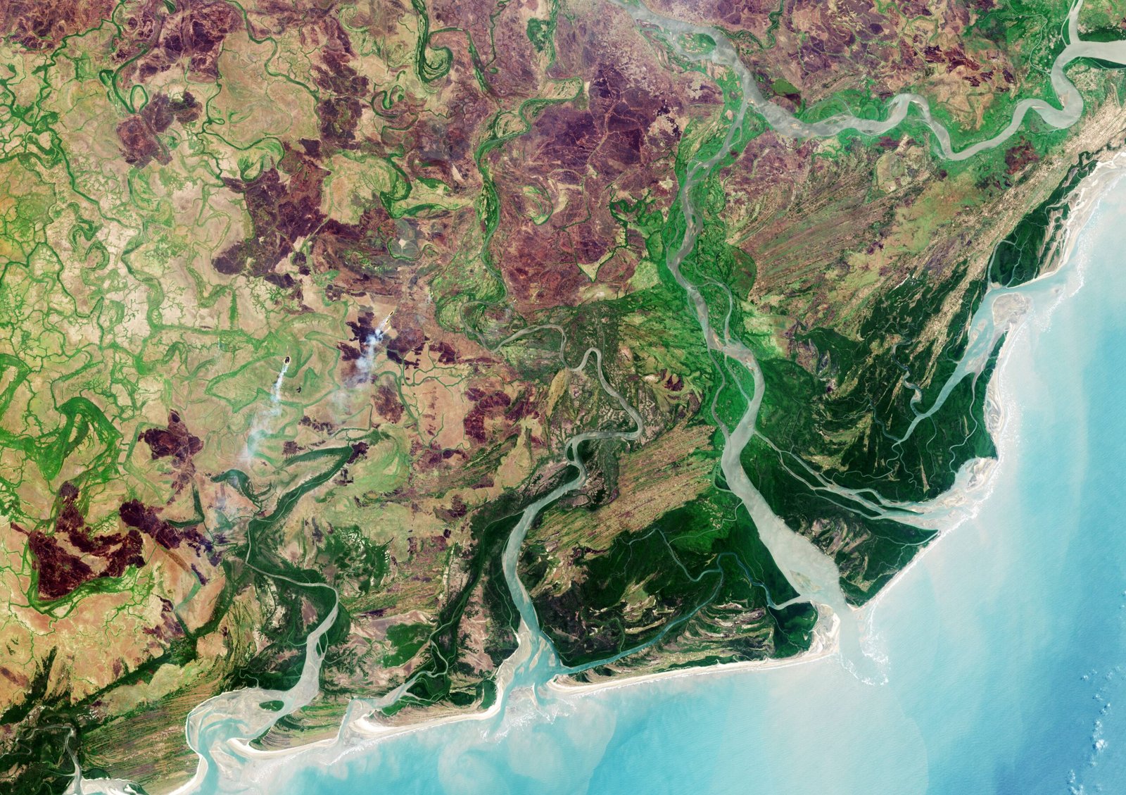 The Delta's Decline: A Once-Thriving Ecosystem (image credits: wikimedia)