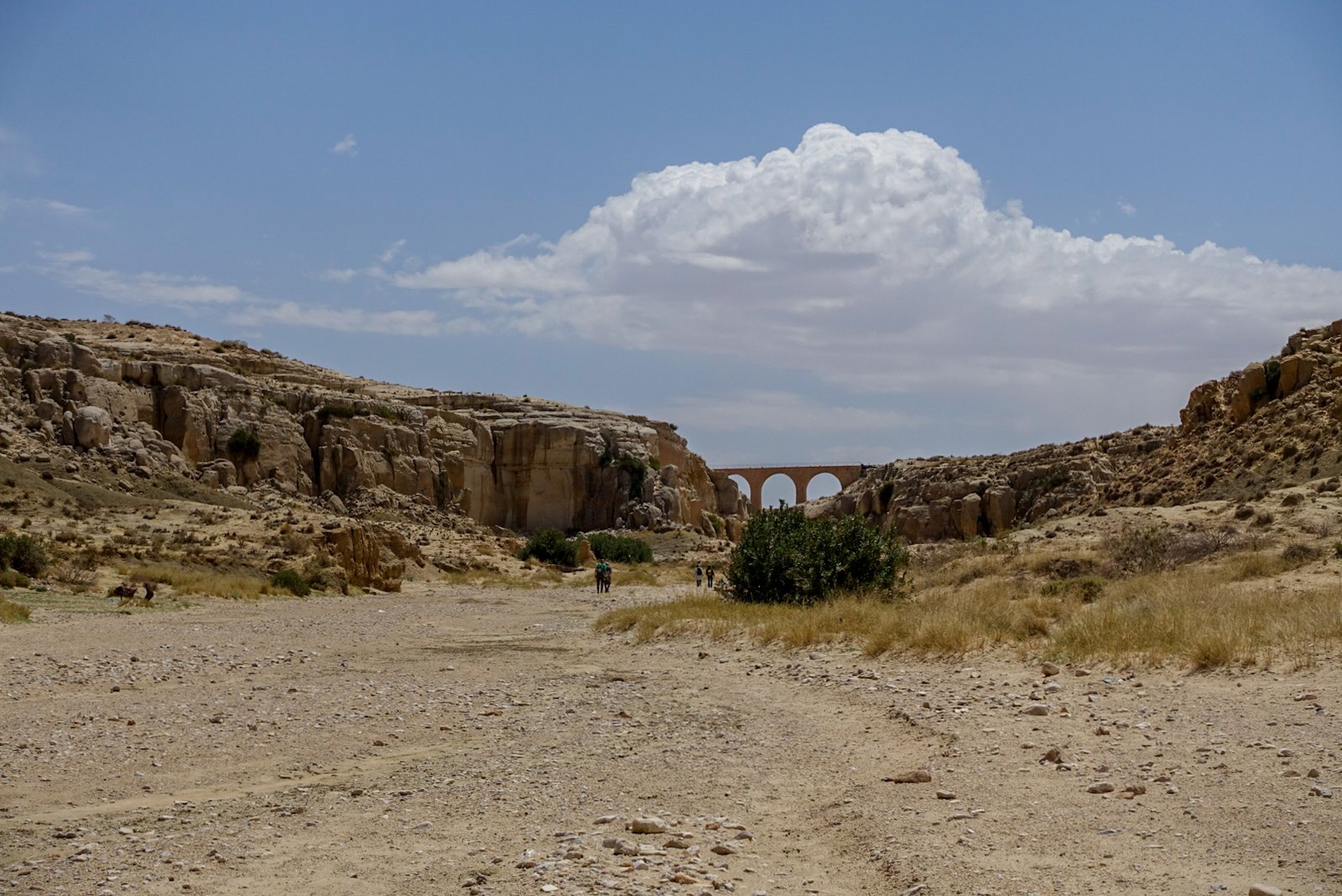 Conclusion: A River's Journey and Our Shared Responsibility (image credits: wikimedia)