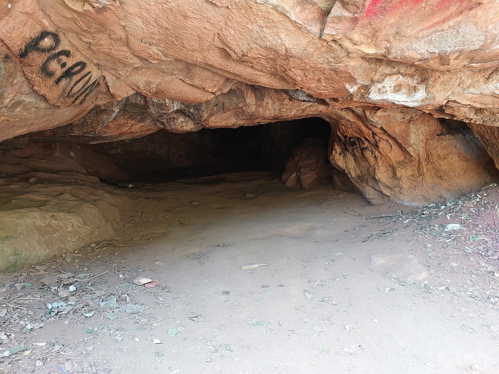 The Hidden Ecosystems of Caves (image credits: wikimedia)
