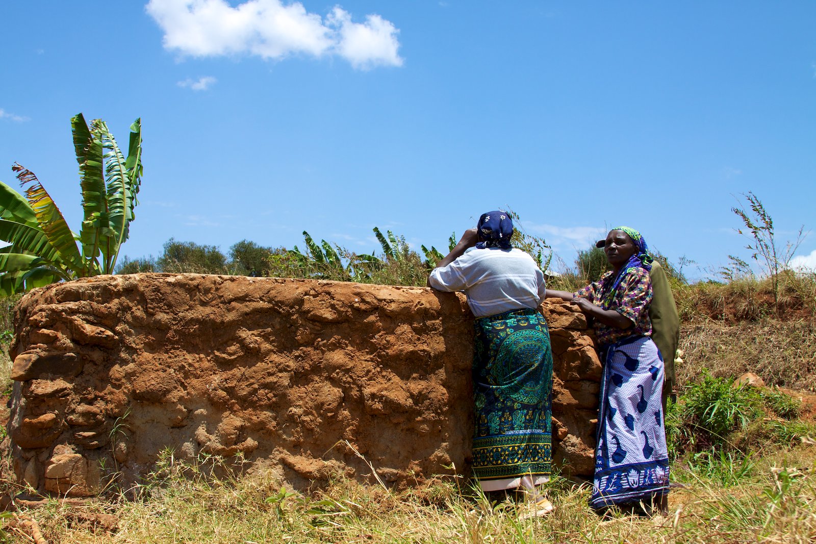 The Agricultural Impact: A Thirsty Industry (image credits: wikimedia)