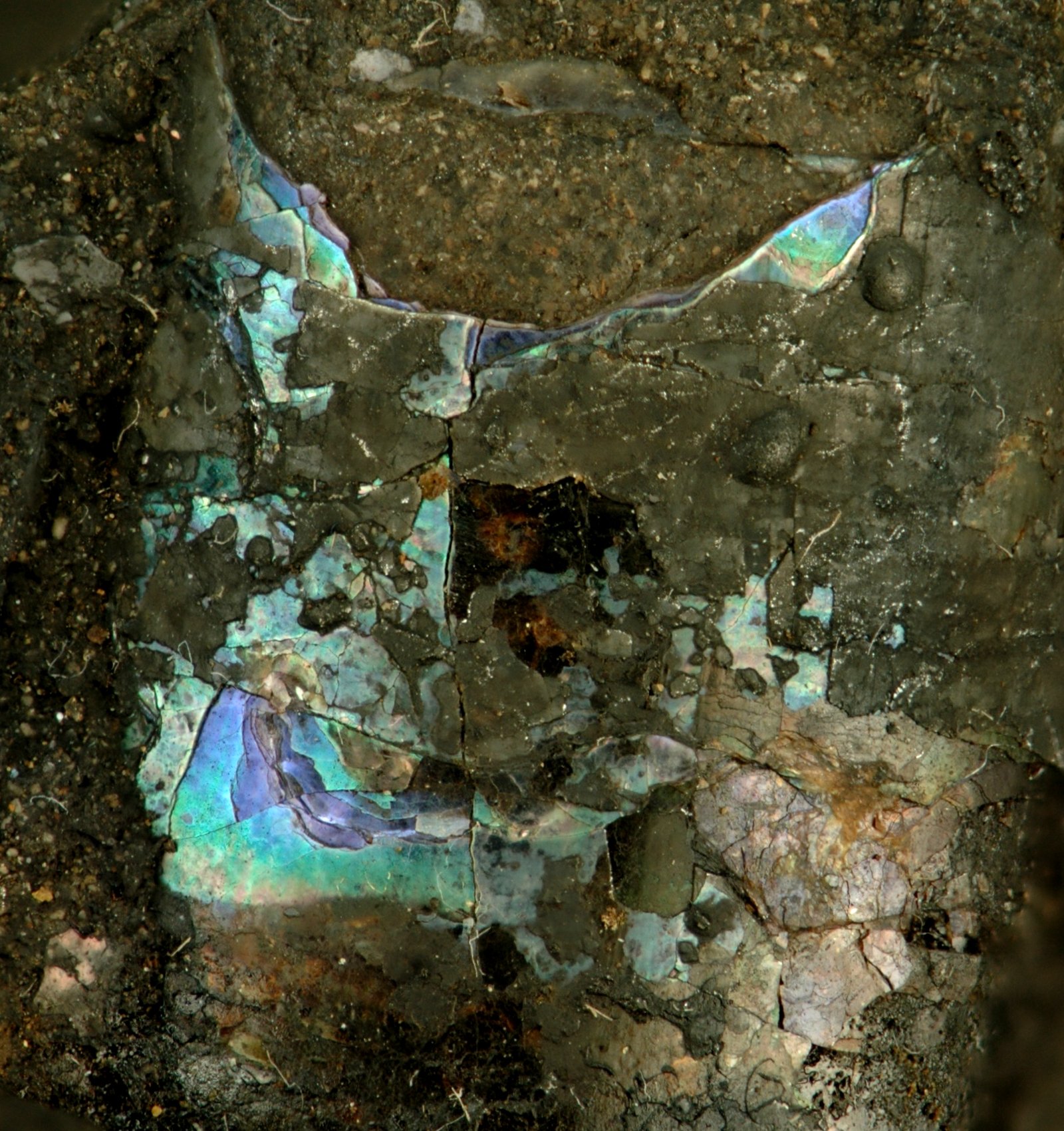 Permafrost: Nature's Time Capsule (image credits: wikimedia)