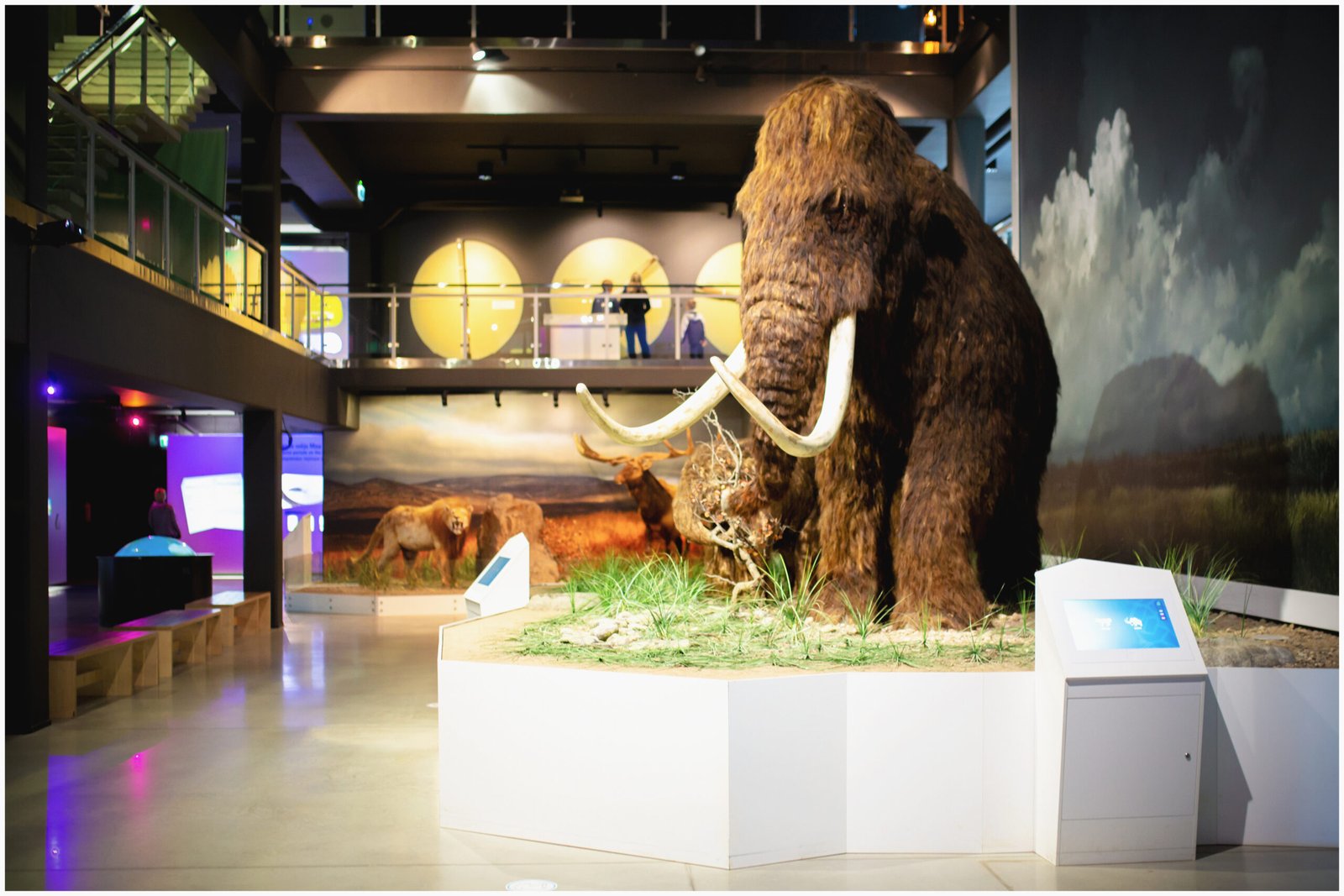 The Frozen Mammoths of the Yukon: What Ice Age Secrets Are Still Buried in Canada’s Permafrost?