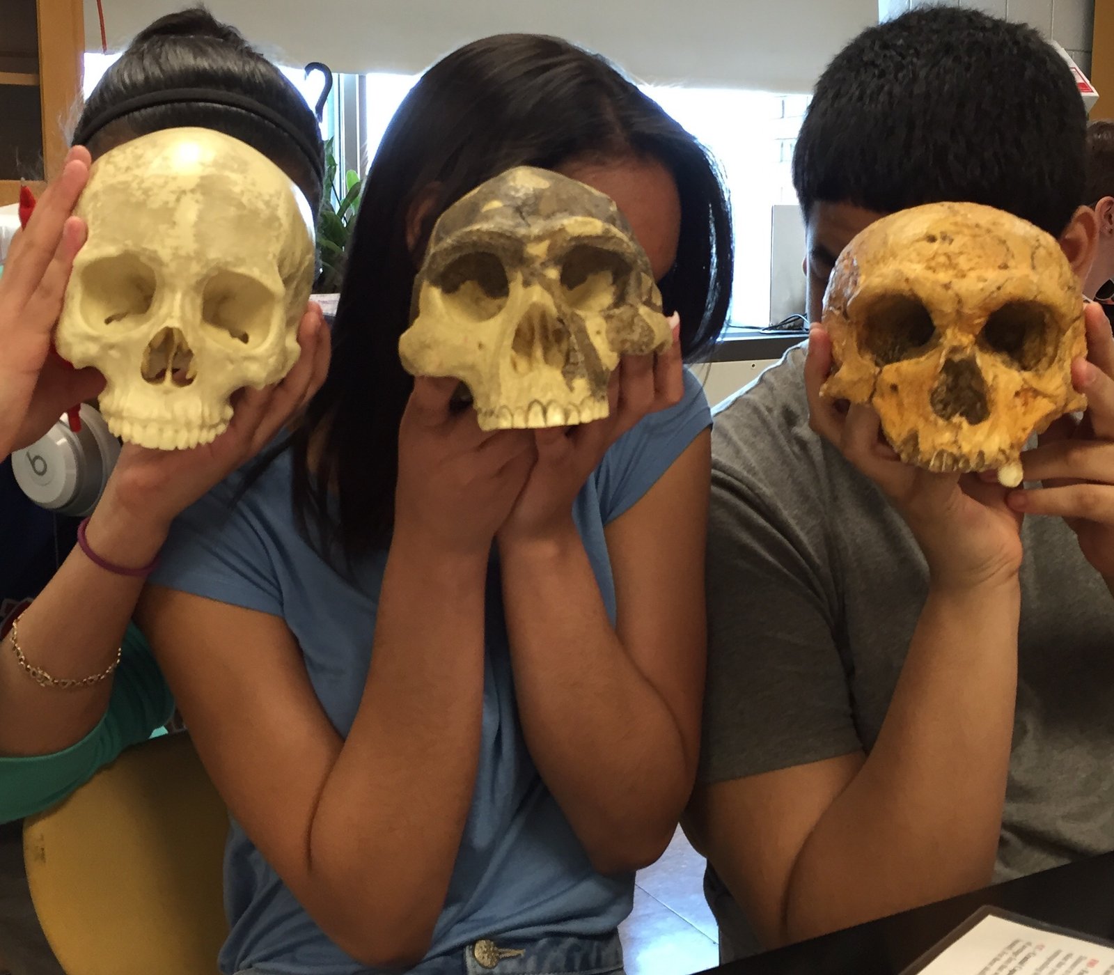The Interconnectedness of Hominin Species (image credits: wikimedia)
