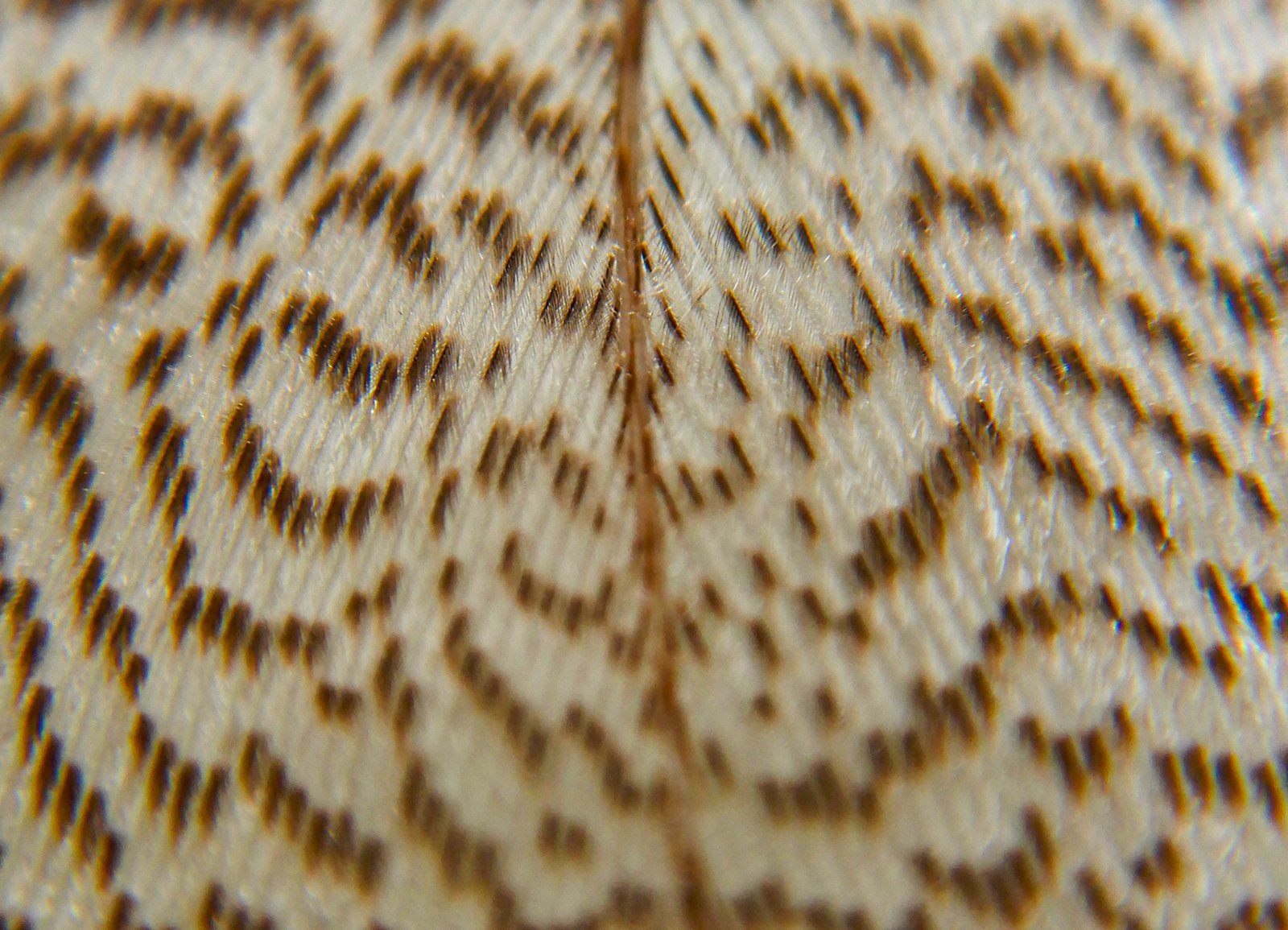 Detecting Hidden Patterns (image credits: wikimedia)