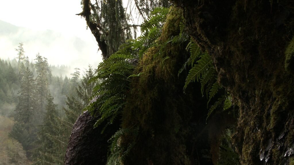 Uncovering the Secrets of Ancient Ecosystems