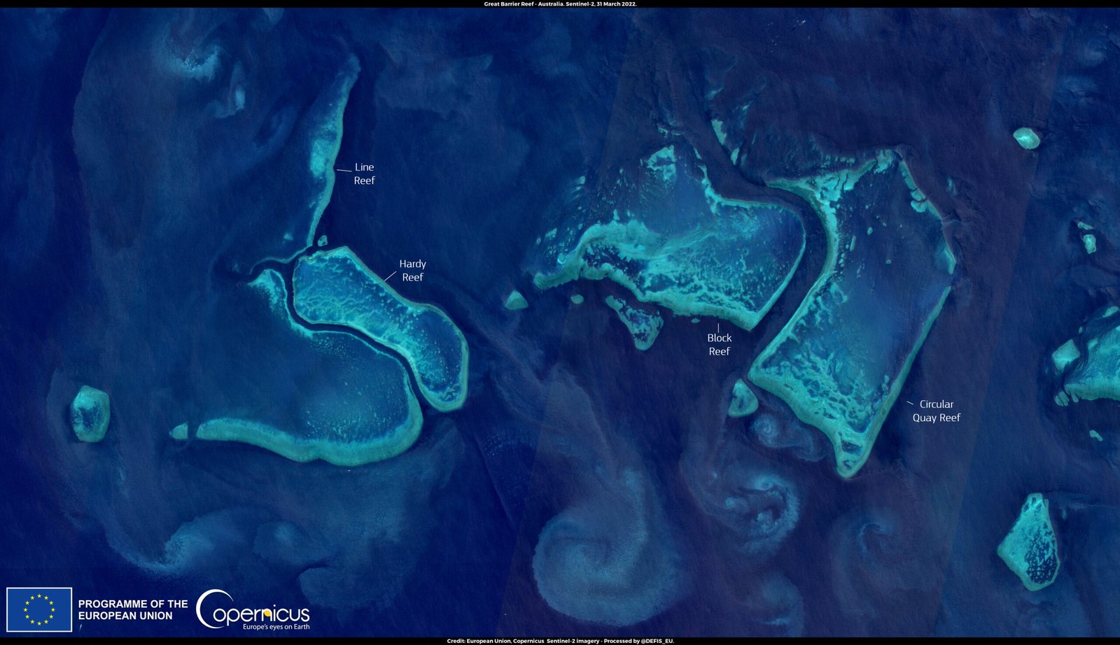 Coral's Clues to Climate Adaptation (image credits: wikimedia)