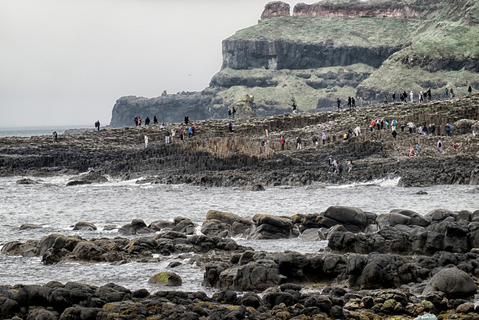 Conservation Efforts and Challenges (image credits: wikimedia)