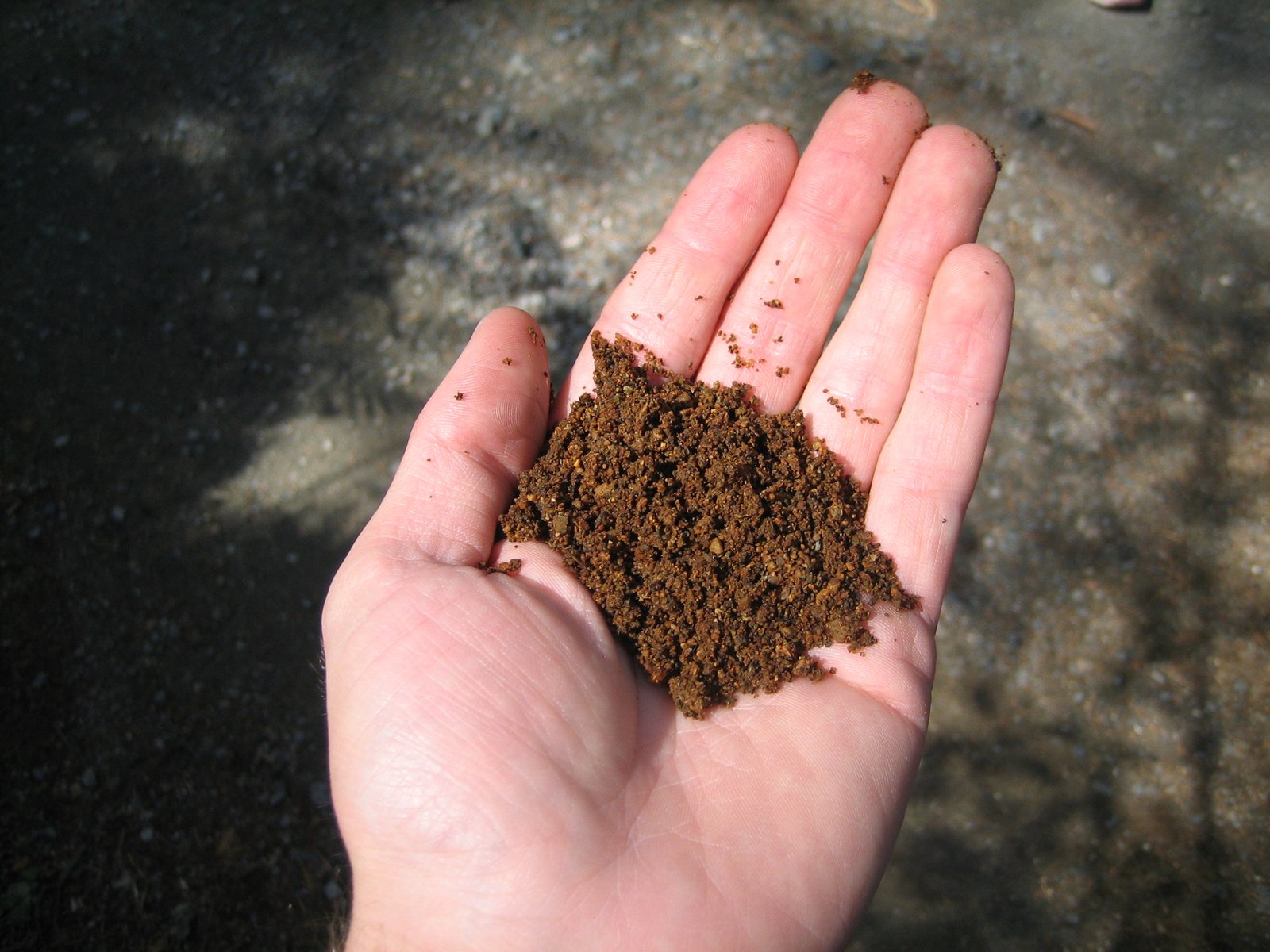 A Call to Rethink Our Relationship with Phosphorus (image credits: wikimedia)