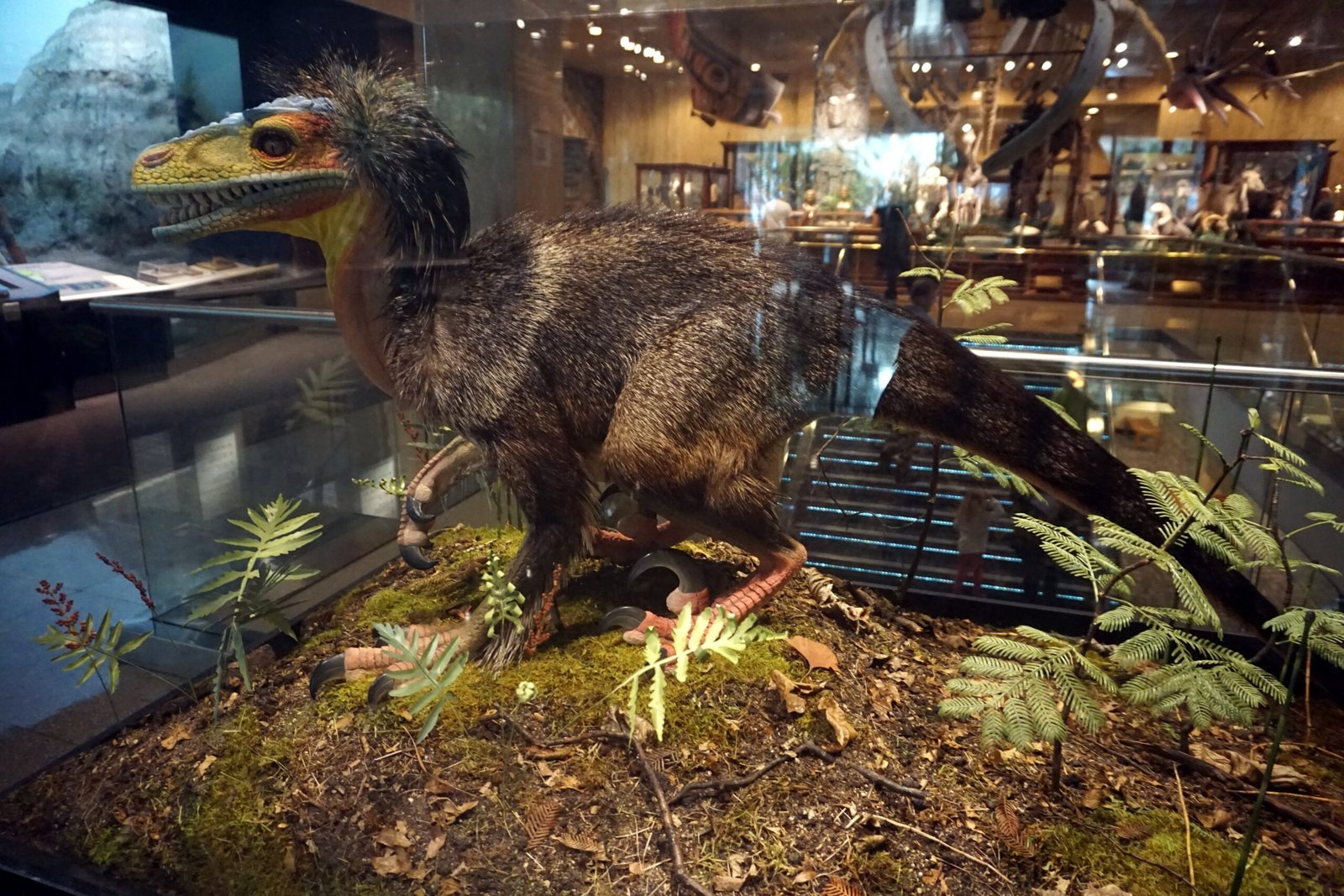 The Science of Color in Dinosaur Feathers (image credits: wikimedia)