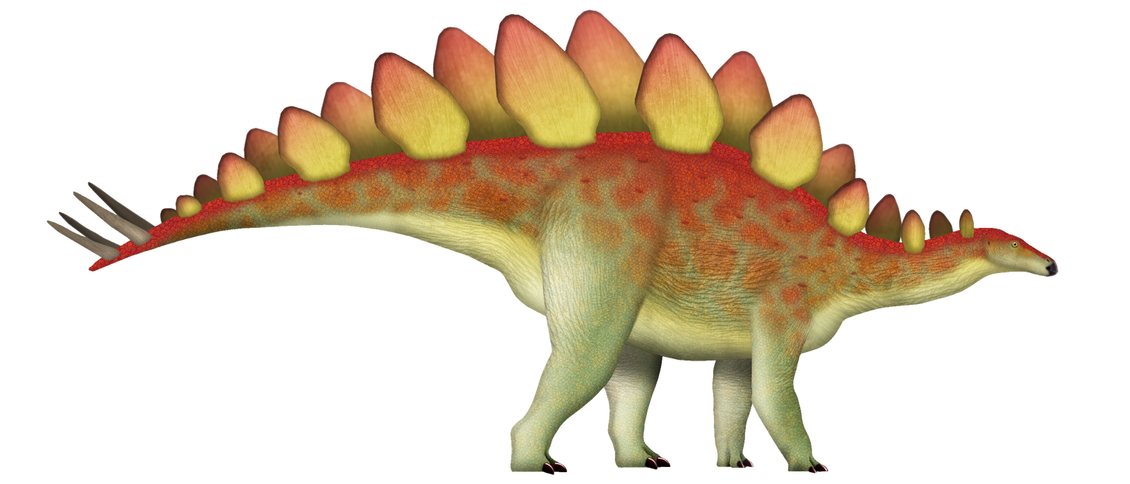 The Role of Feathers in Thermoregulation (image credits: wikimedia)
