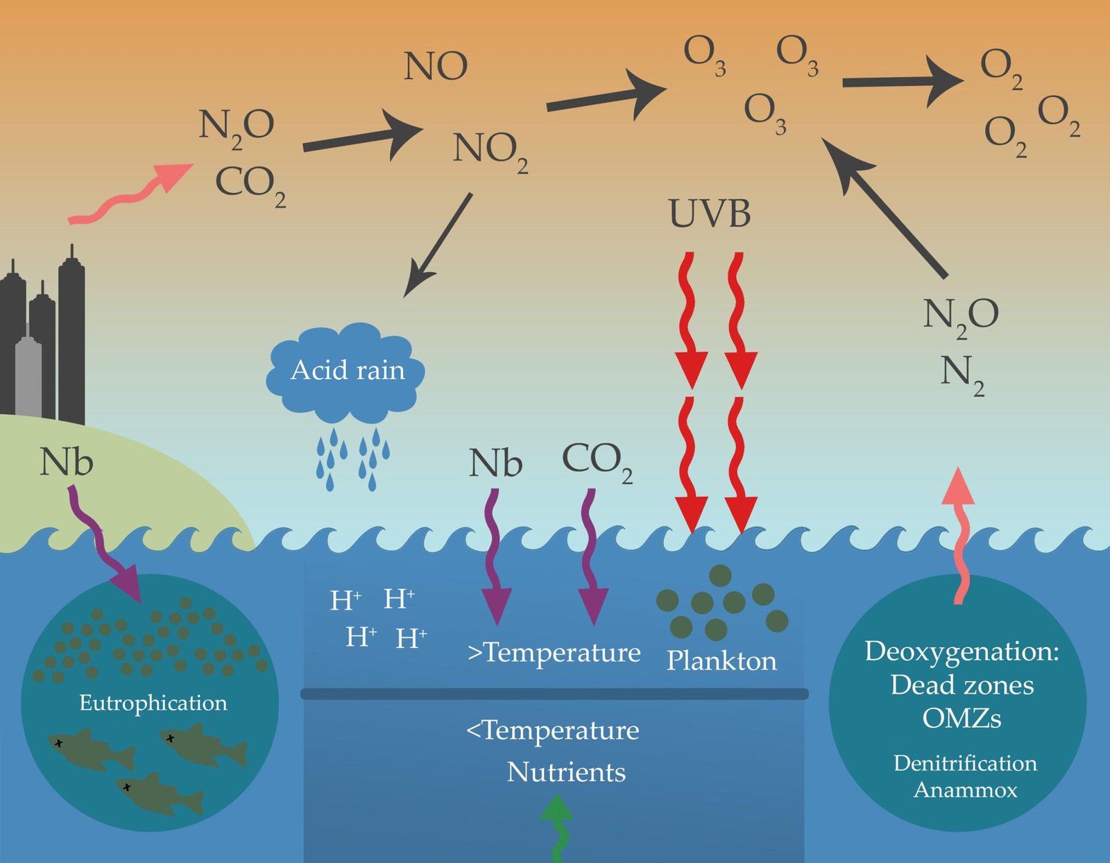 The Science Behind Oxygen Depletion (image credits: wikimedia)