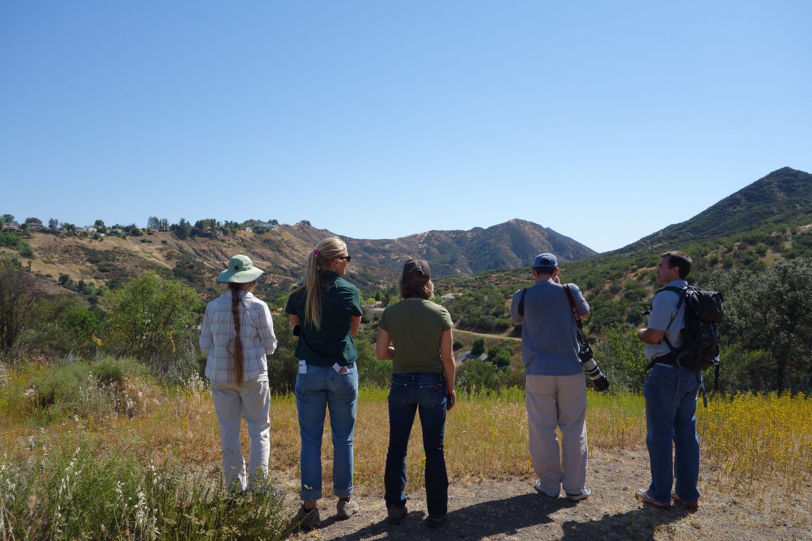 The Ecological Impact on Native Species (image credits: wikimedia)