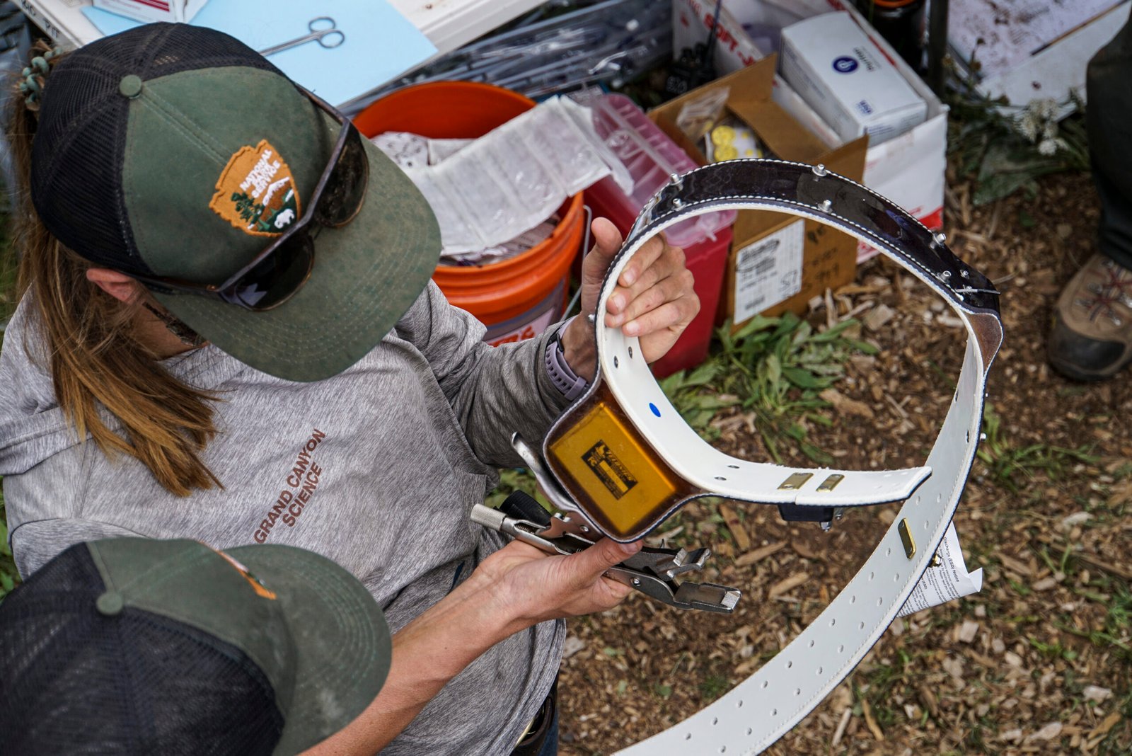 Innovative Solutions and Technological Advances (image credits: wikimedia)