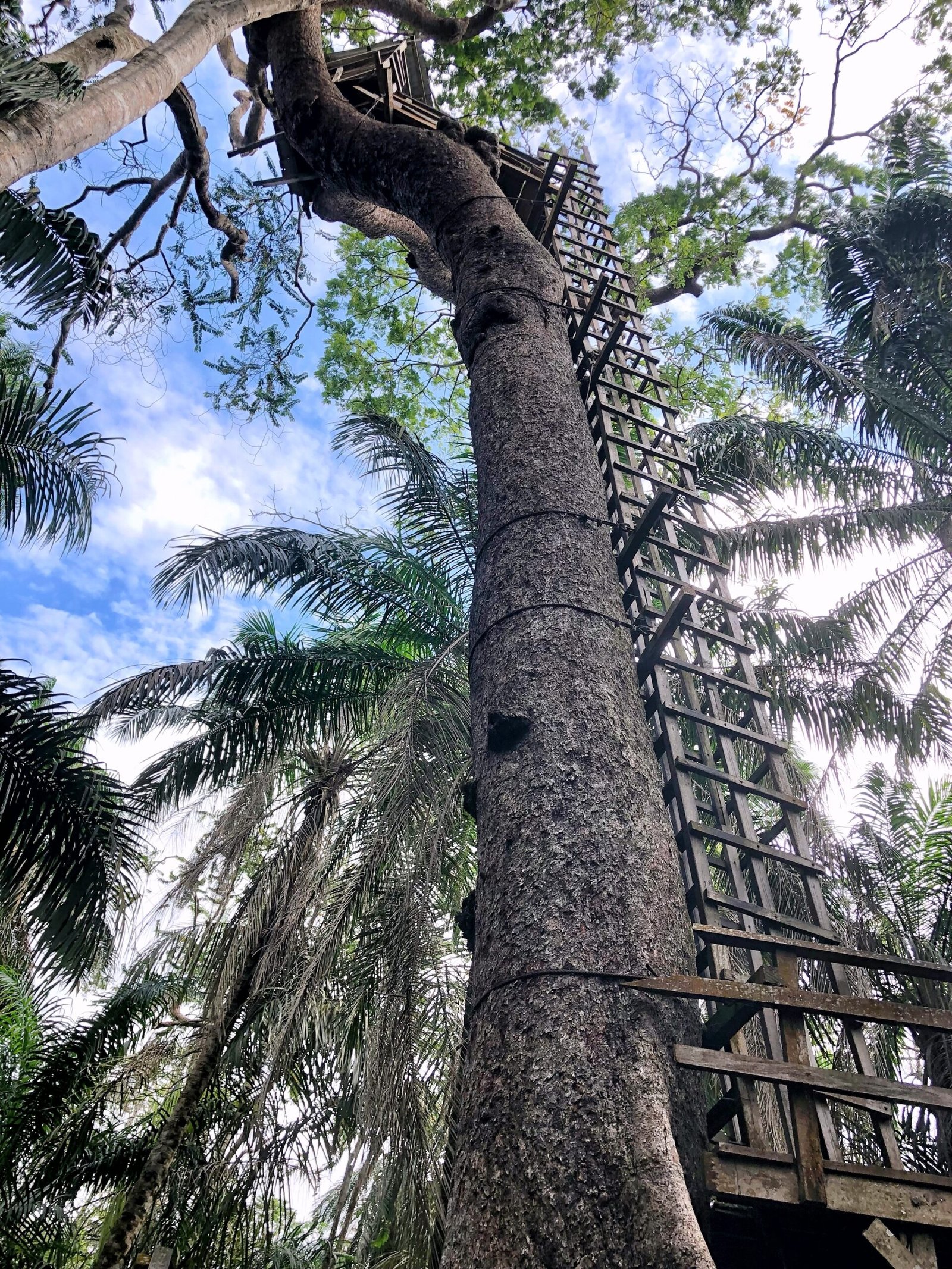 Final Thoughts: A Call to Action (image credits: wikimedia)