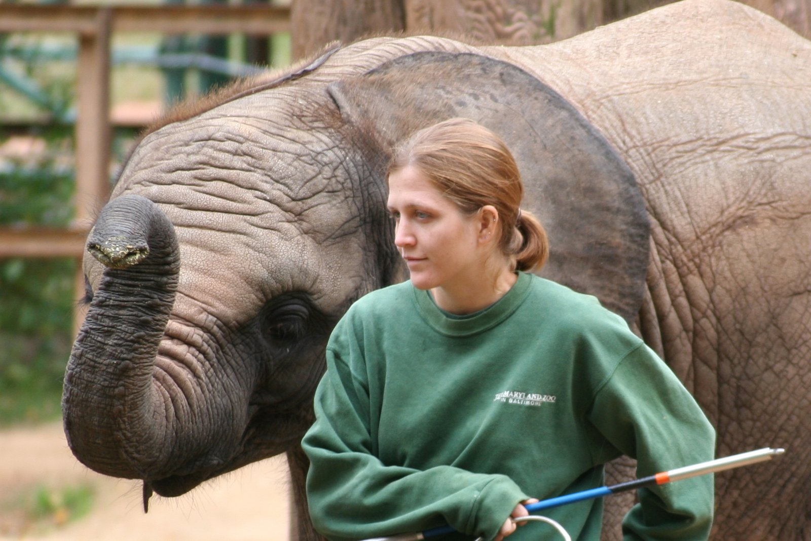 The Heart of the Zoo: Zookeepers as Caretakers (image credits: wikimedia)