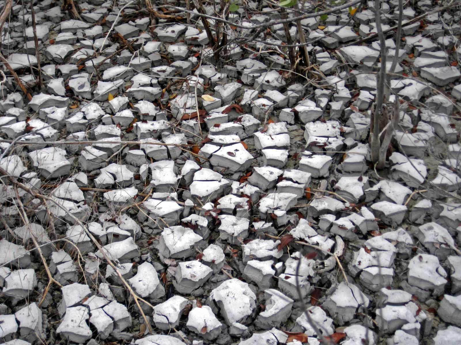 Extreme Conditions: Heat, Pressure, and Isolation (image credits: wikimedia)