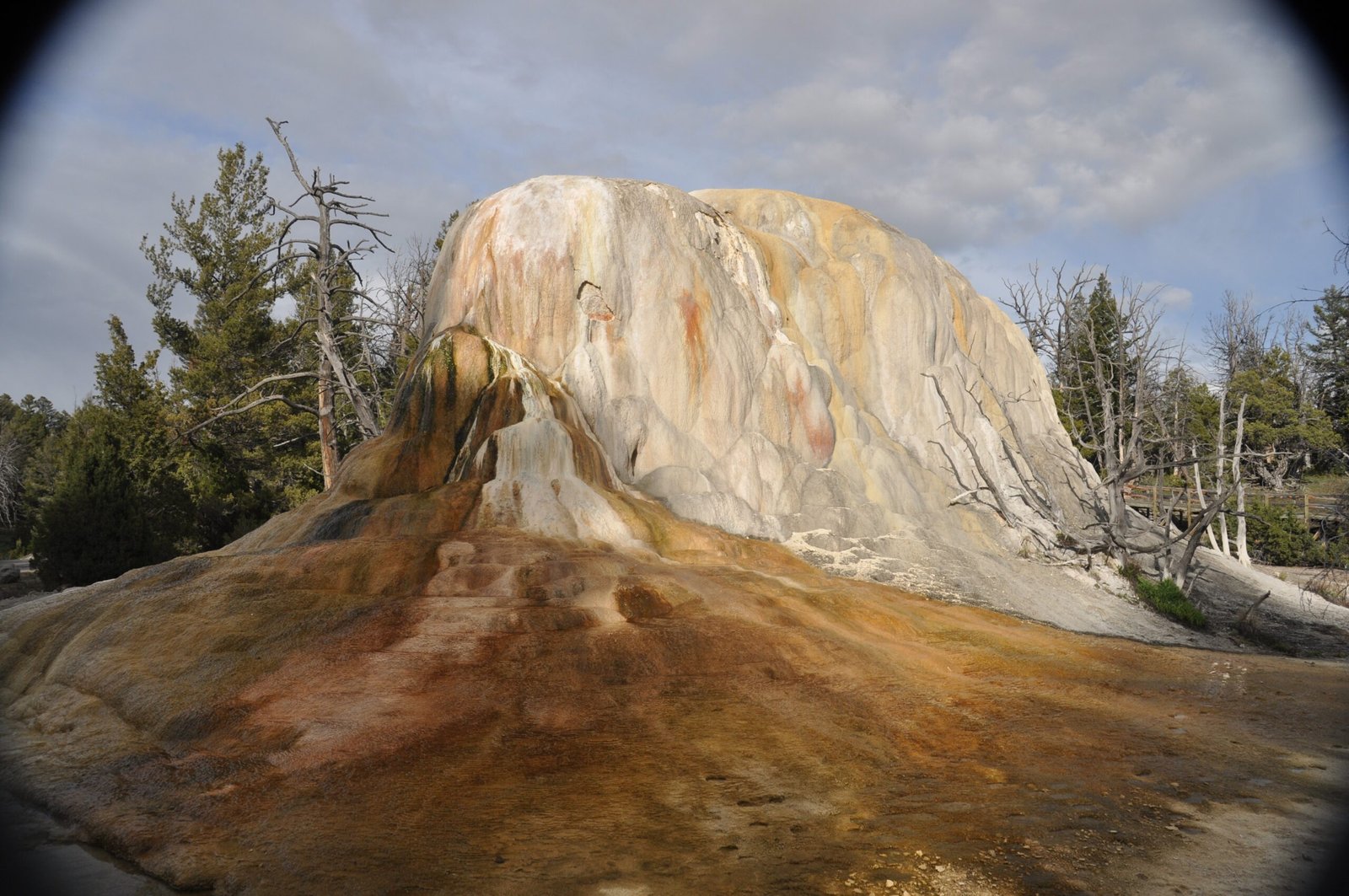 Energy from the Rocks: Chemoautotrophy in Action (image credits: wikimedia)