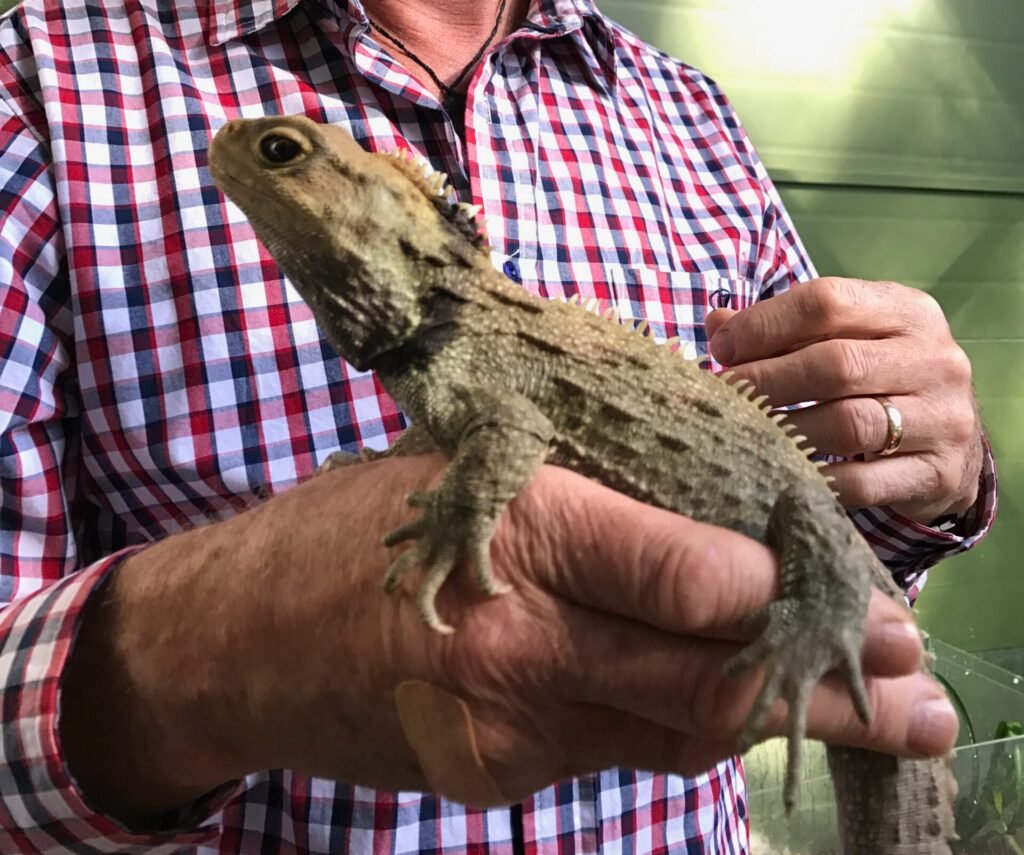 Cold-Blooded Superpowers