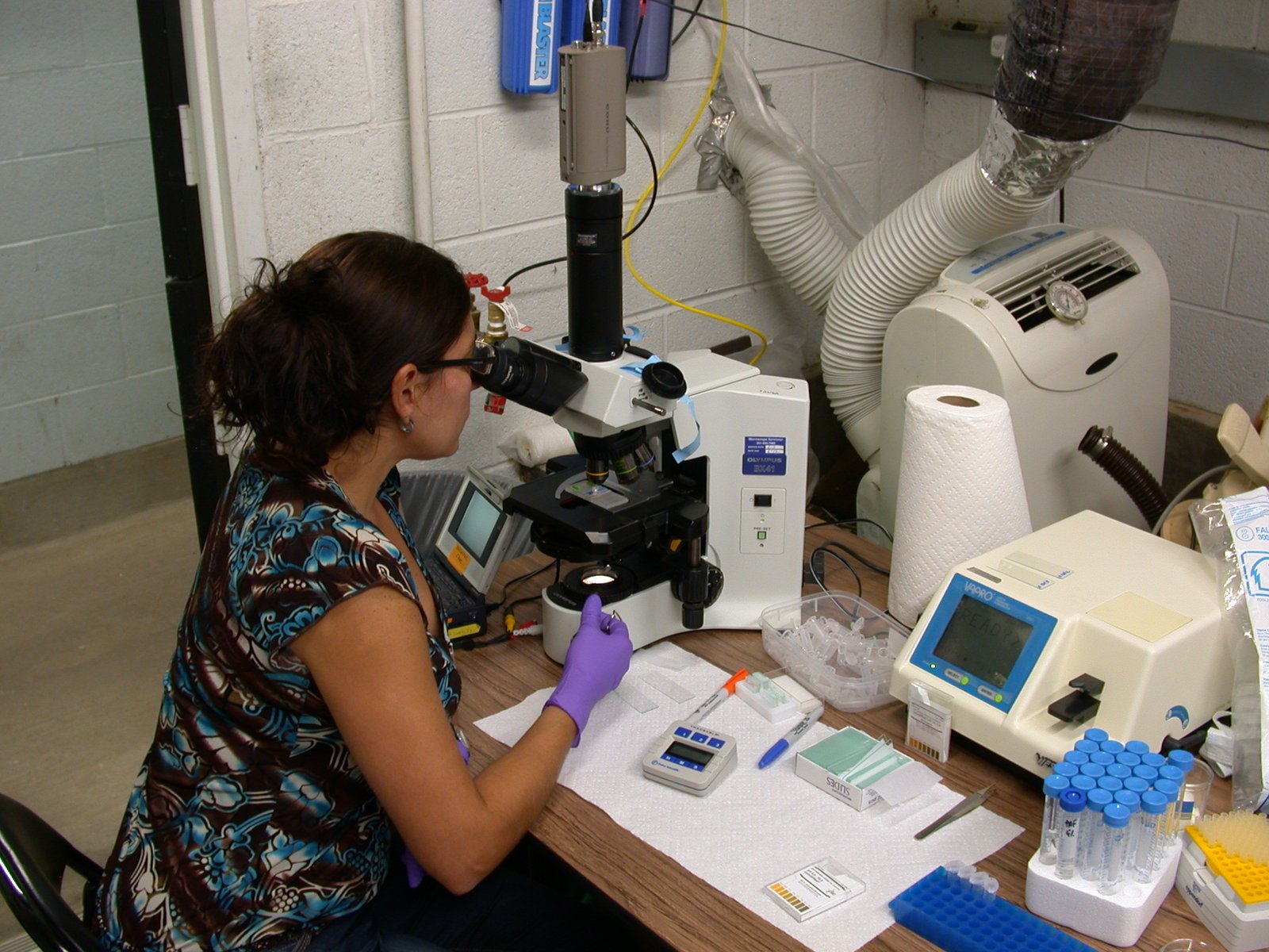 Research Hubs: Unlocking Nature’s Secrets (image credits: wikimedia)