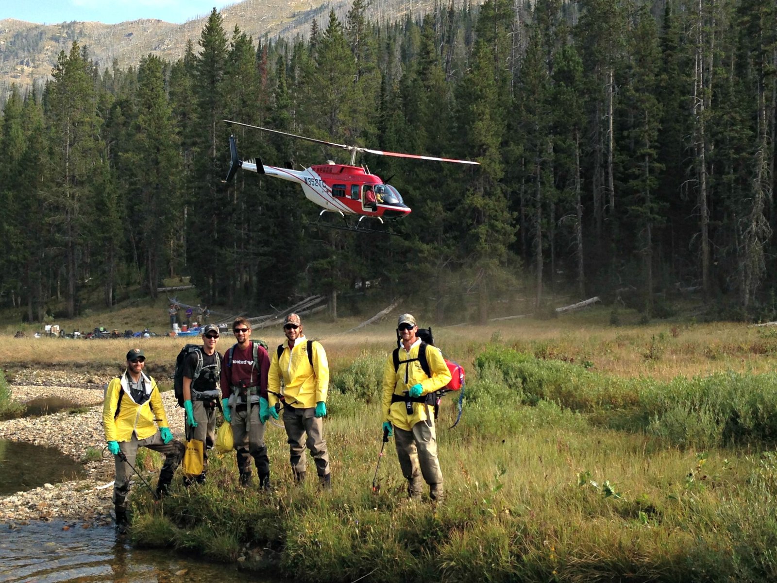 Global Partnerships: Working Together for Wildlife (image credits: wikimedia)