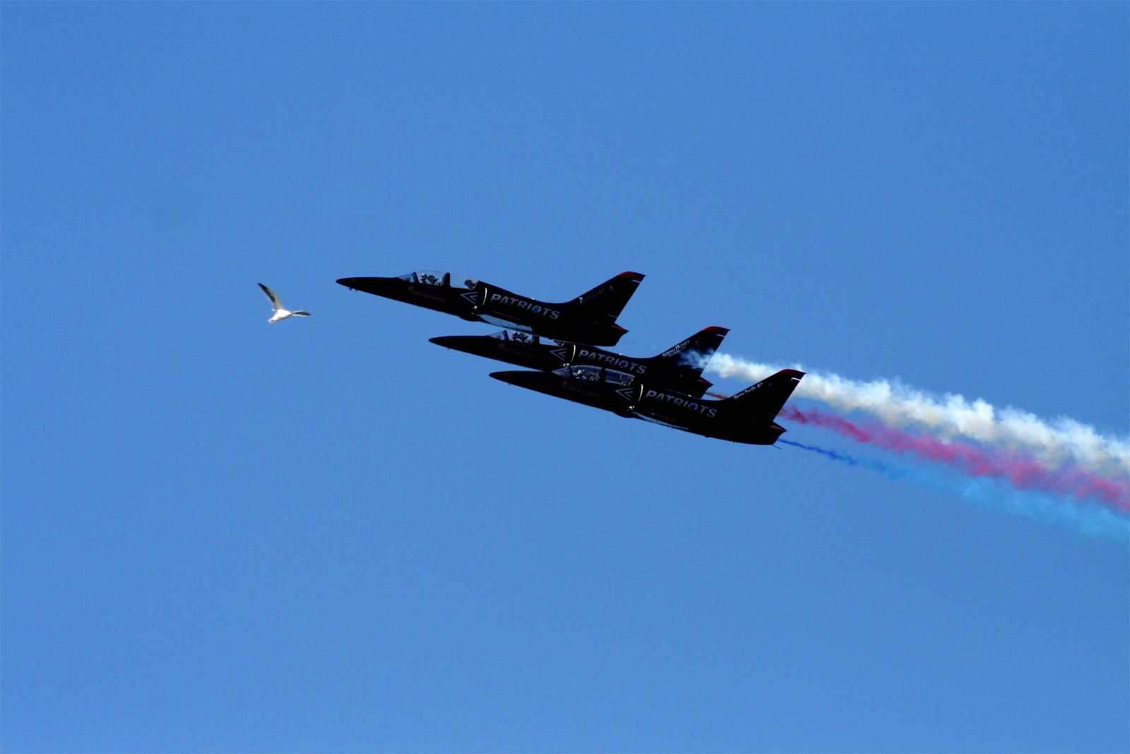 Finding Harmony in the Skies (image credits: wikimedia)
