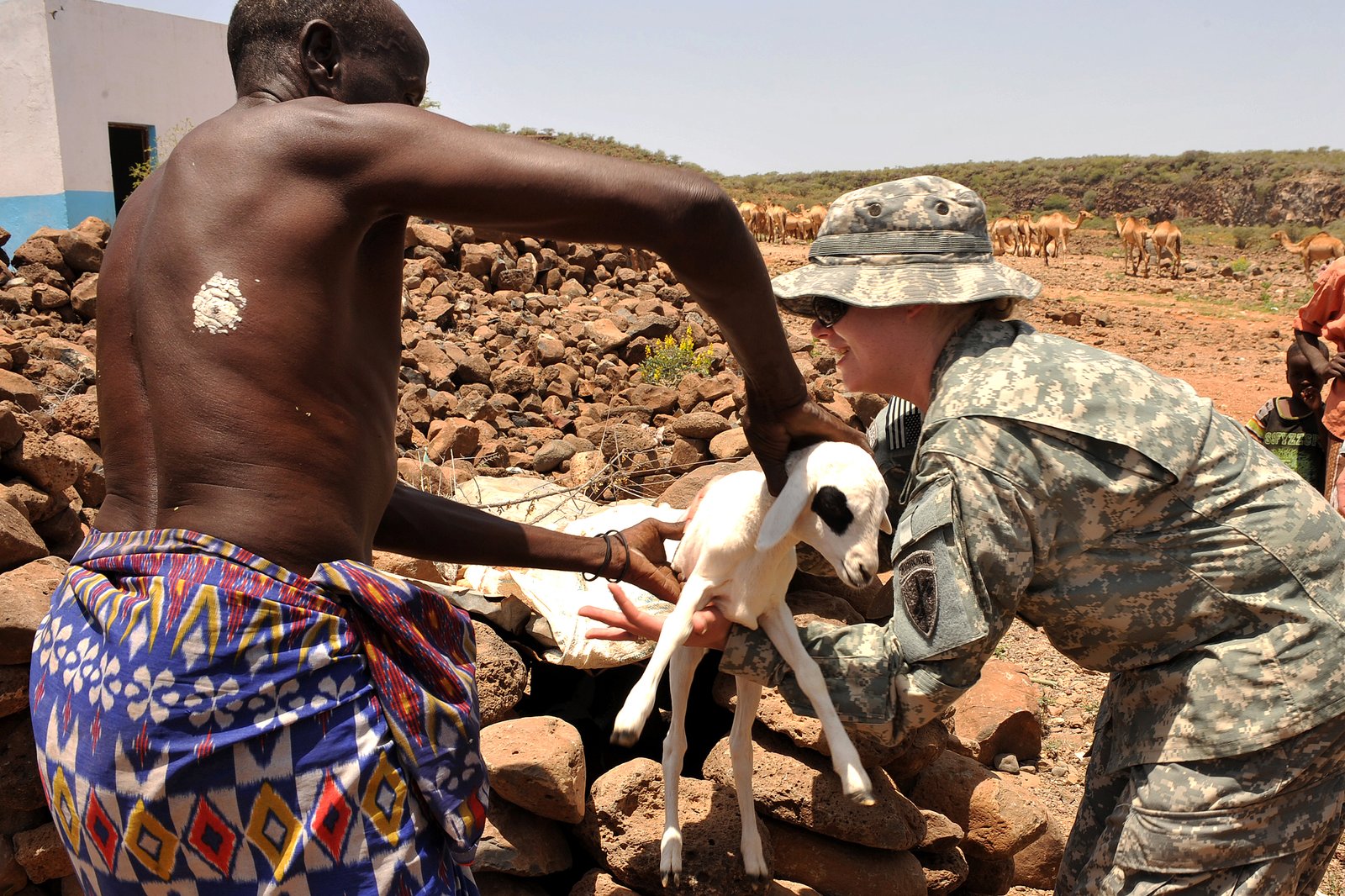 Implications for Conservation and Welfare (image credits: wikimedia)