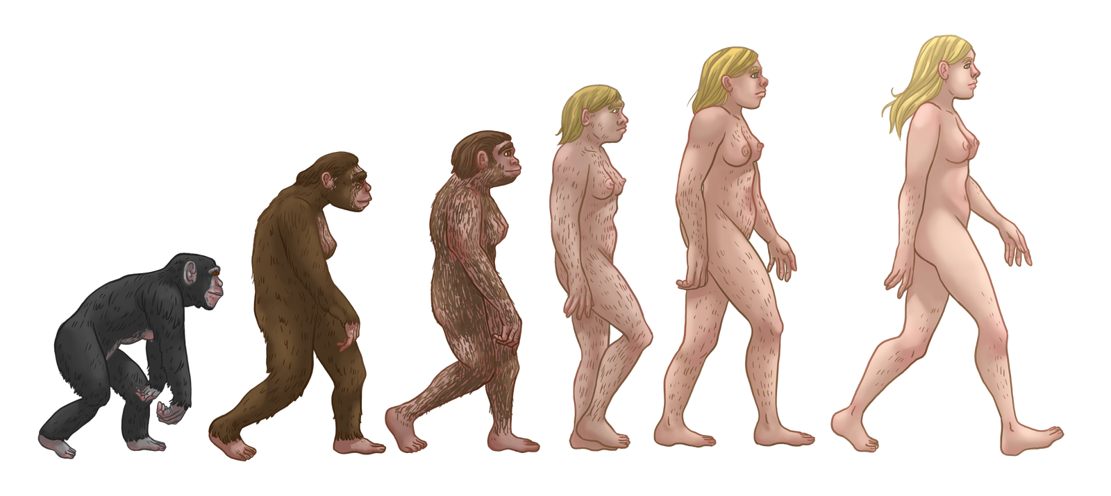 What This Means for Science and Wonder (image credits: wikimedia)