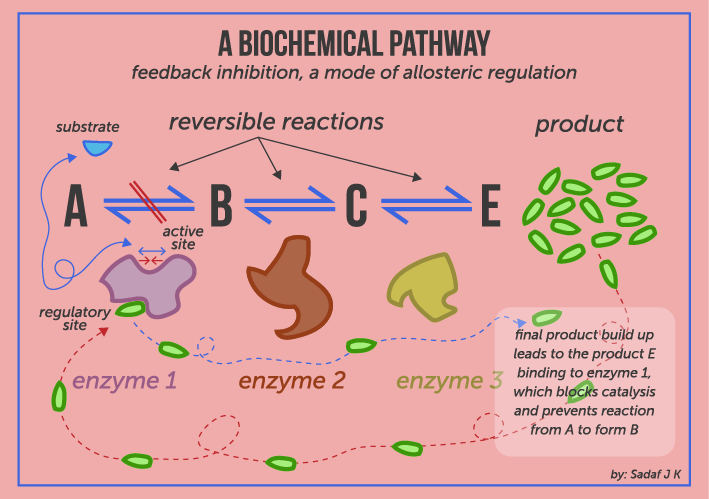 Self-Regulation: What Does It Really Mean? (image credits: wikimedia)