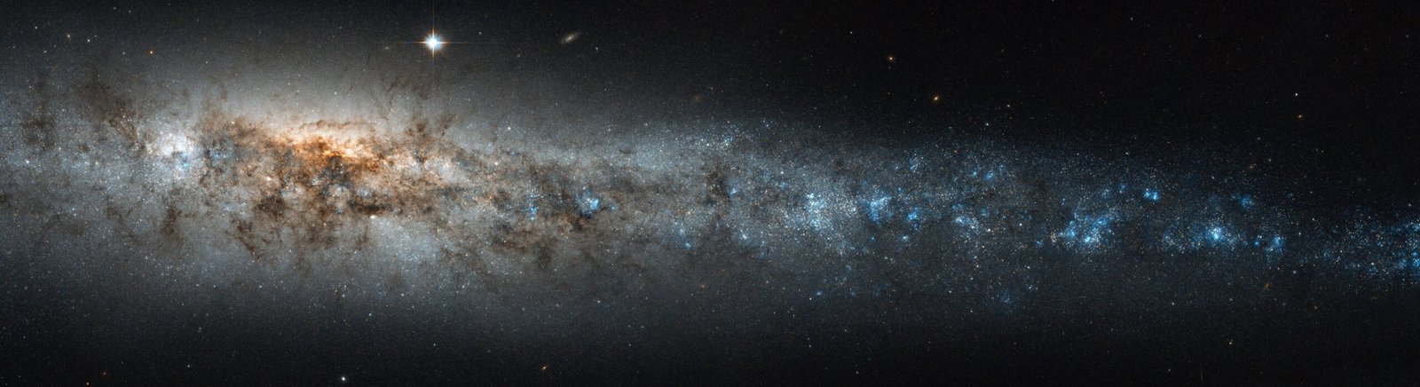 Earth’s Whales: The Inspiration for Cosmic Counterparts (image credits: wikimedia)