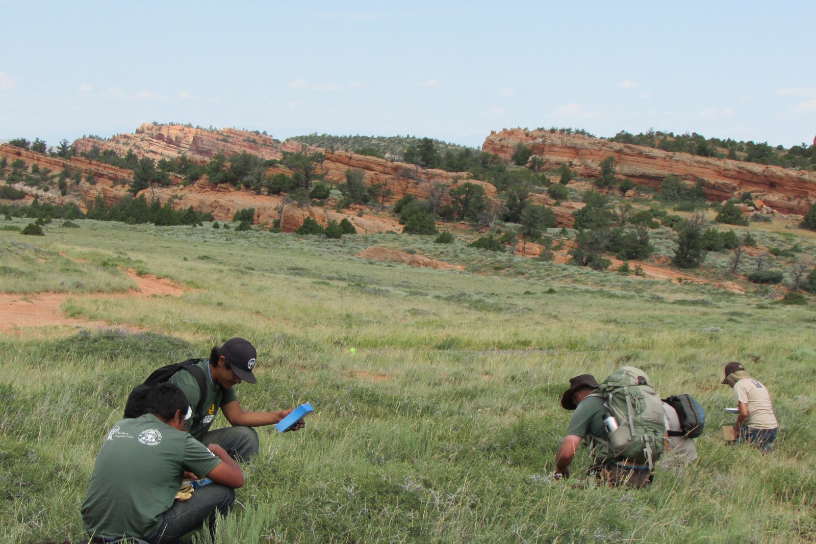 Survival Strategies: Adaptation in Action (image credits: wikimedia)