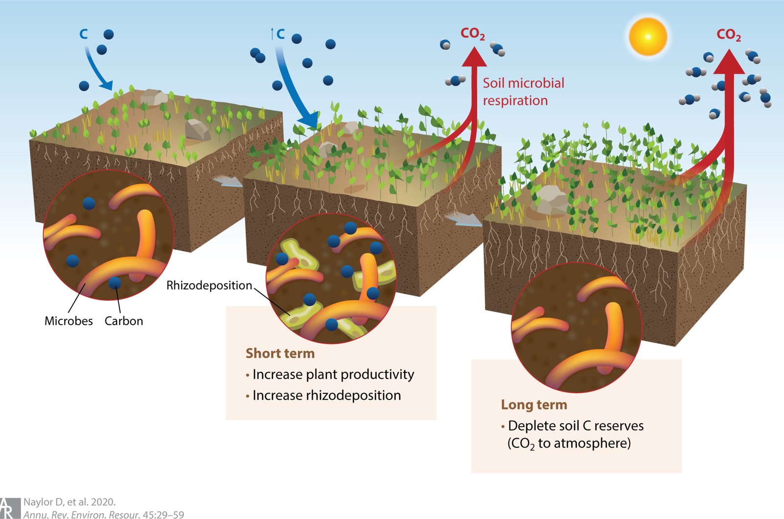 The Microbial Awakening: Life After Ice (image credits: wikimedia)