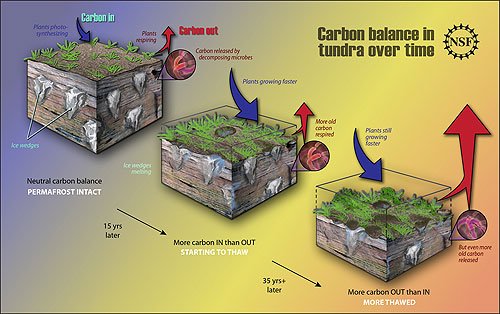 Microbes at Work: Breaking Down Organic Matter (image credits: wikimedia)