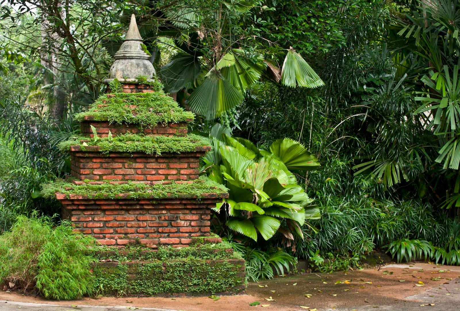 The Singapore Zoo: A Rainforest Sanctuary in the City (image credits: wikimedia)
