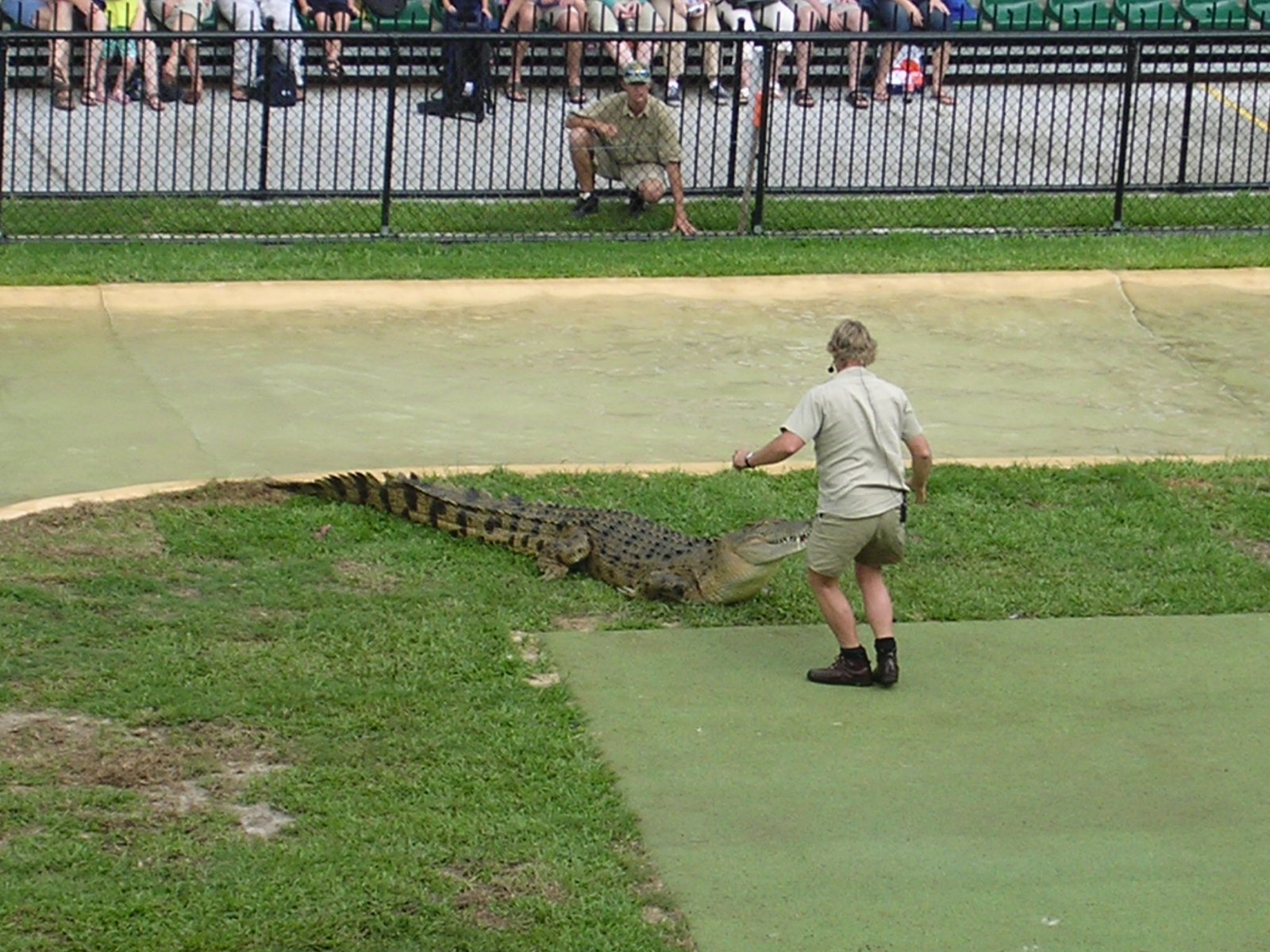Australia Zoo: Steve Irwin’s Wild Legacy (image credits: wikimedia)