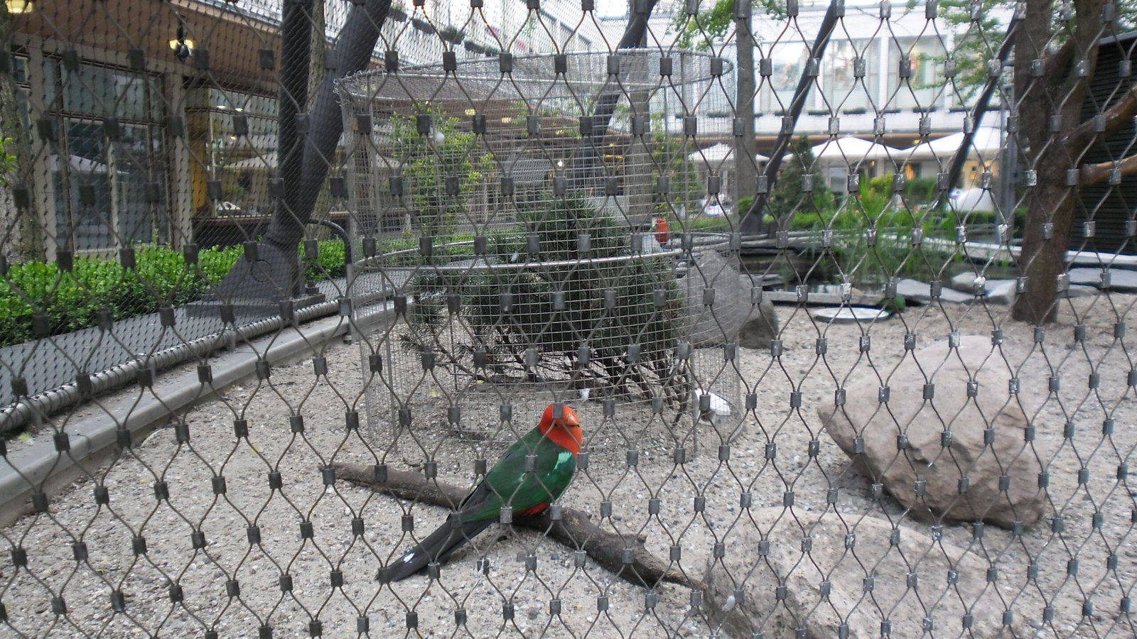 Bronx Zoo: A Conservation Force in the Urban Jungle (image credits: wikimedia)