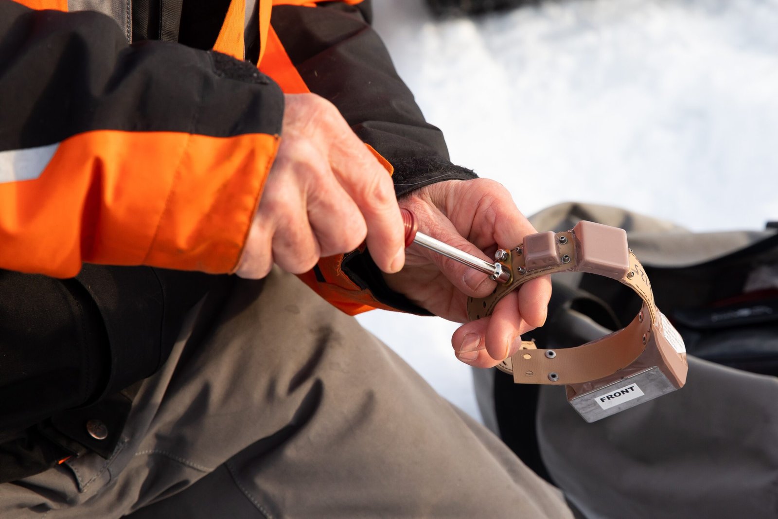 How GPS Collars Changed the Game (image credits: wikimedia)