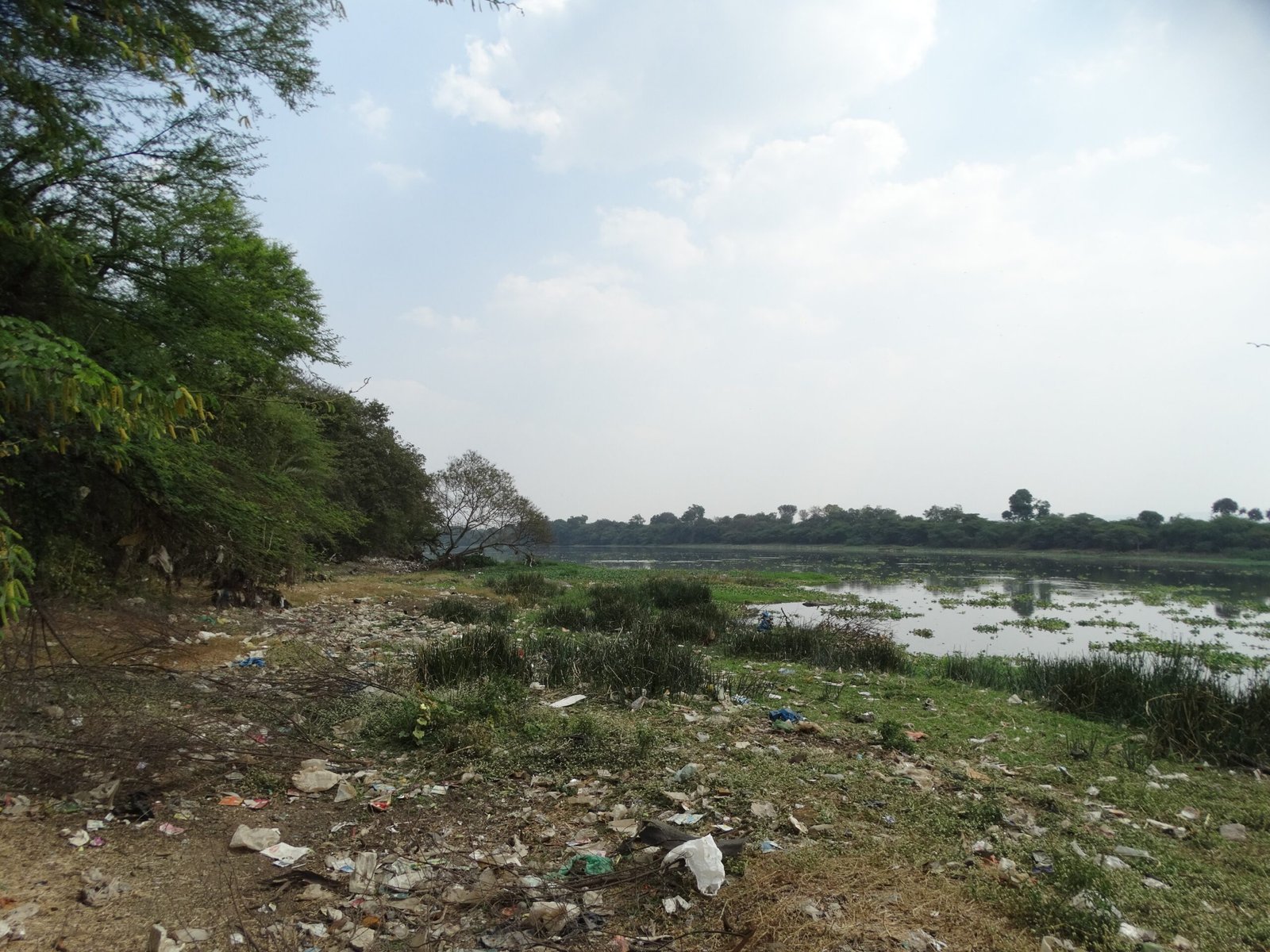 The Hidden Environmental Toll (image credits: wikimedia)