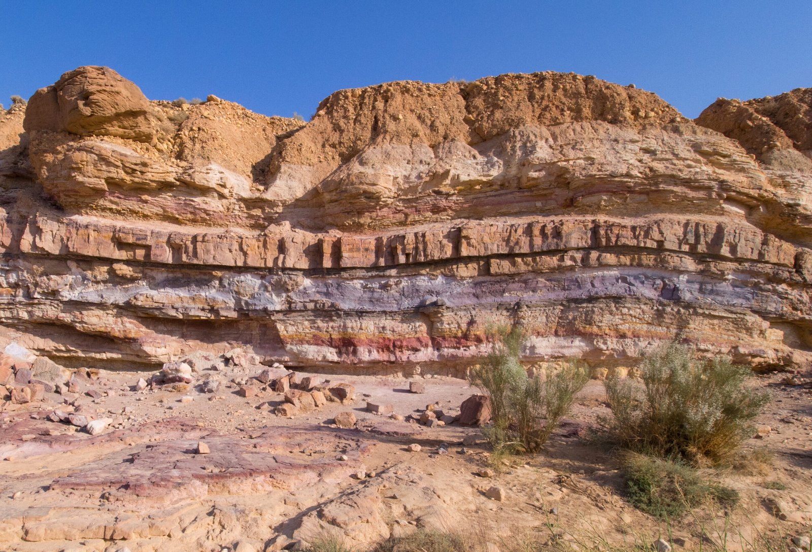 Earth’s Timeline in Layers of Stone (image credits: wikimedia)