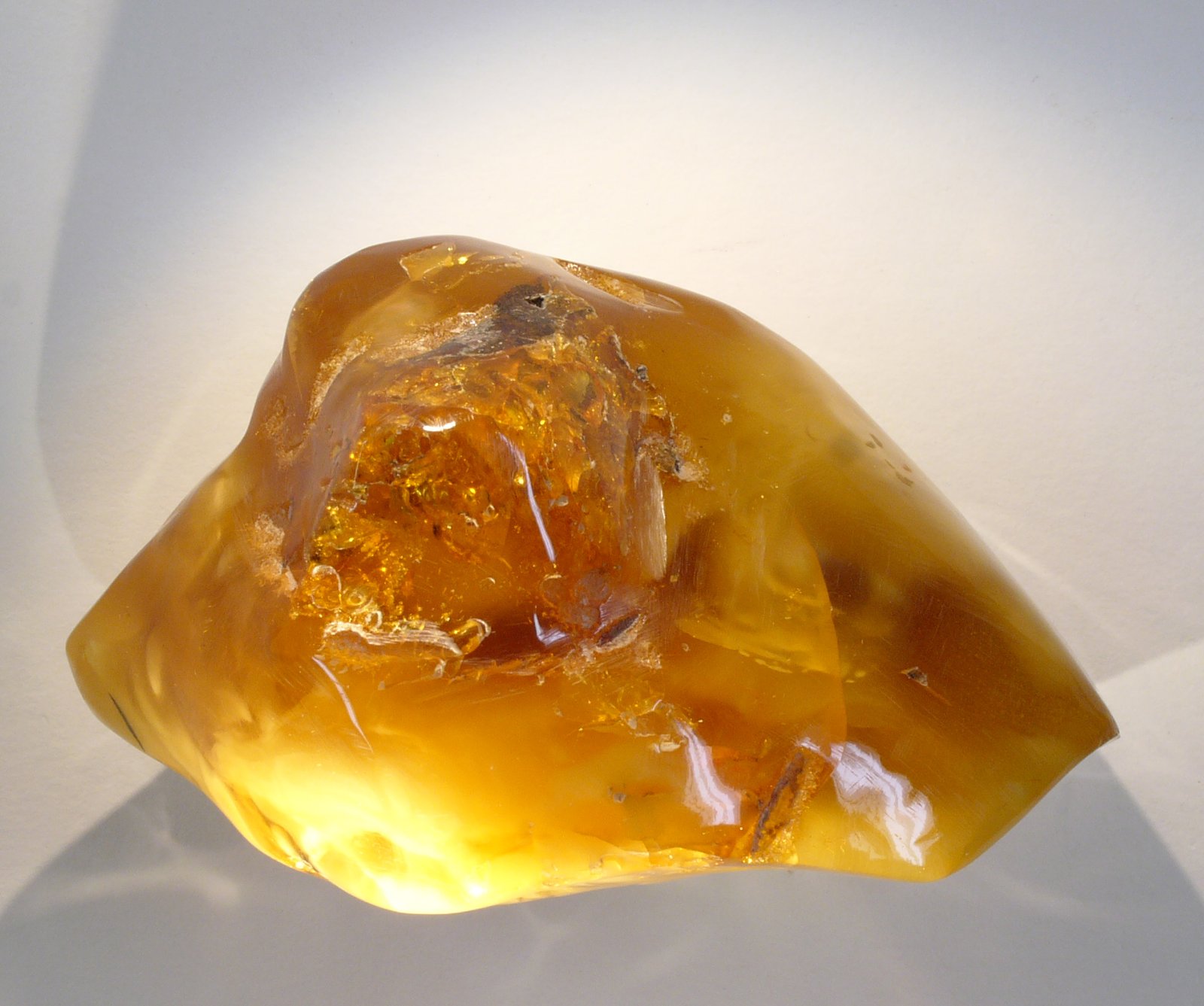 Challenges and Ethics of Amber Fossil Research (image credits: wikimedia)