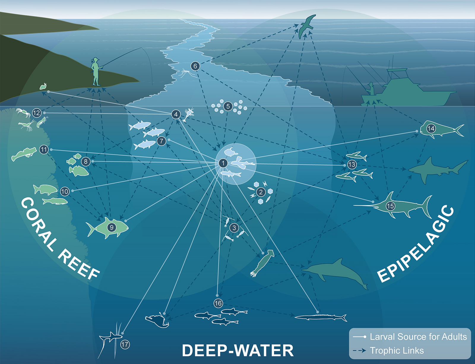 Climate Change and the Future of Lanternfish (image credits: wikimedia)