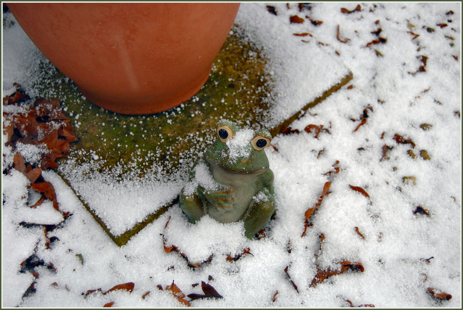 Why Risk Freezing? The Evolutionary Advantage (image credits: wikimedia)