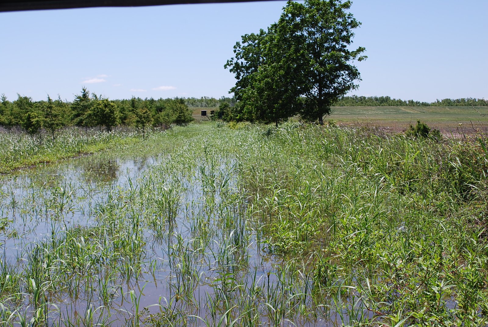 Farmers: Defenders of the Floodplain (image credits: wikimedia)