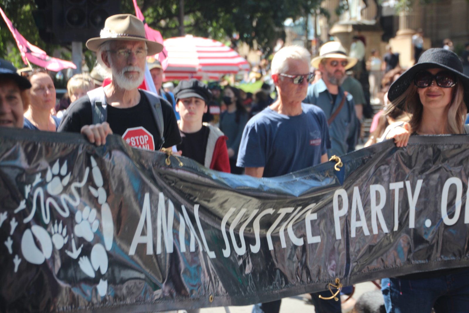 Recent Legal Battles for Animal Rights (image credits: wikimedia)