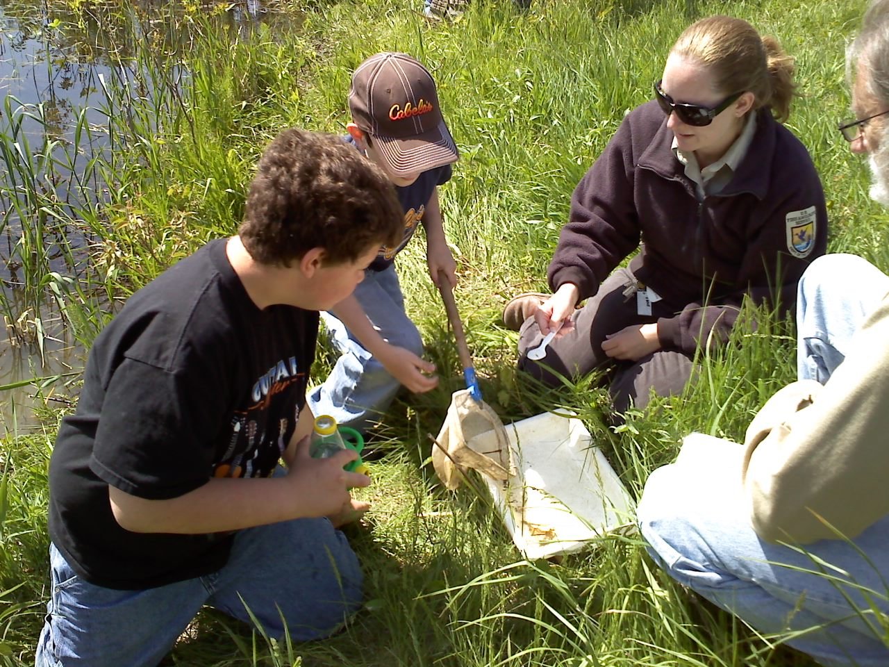 Unmasking the Poachers: Collecting Evidence (image credits: wikimedia)