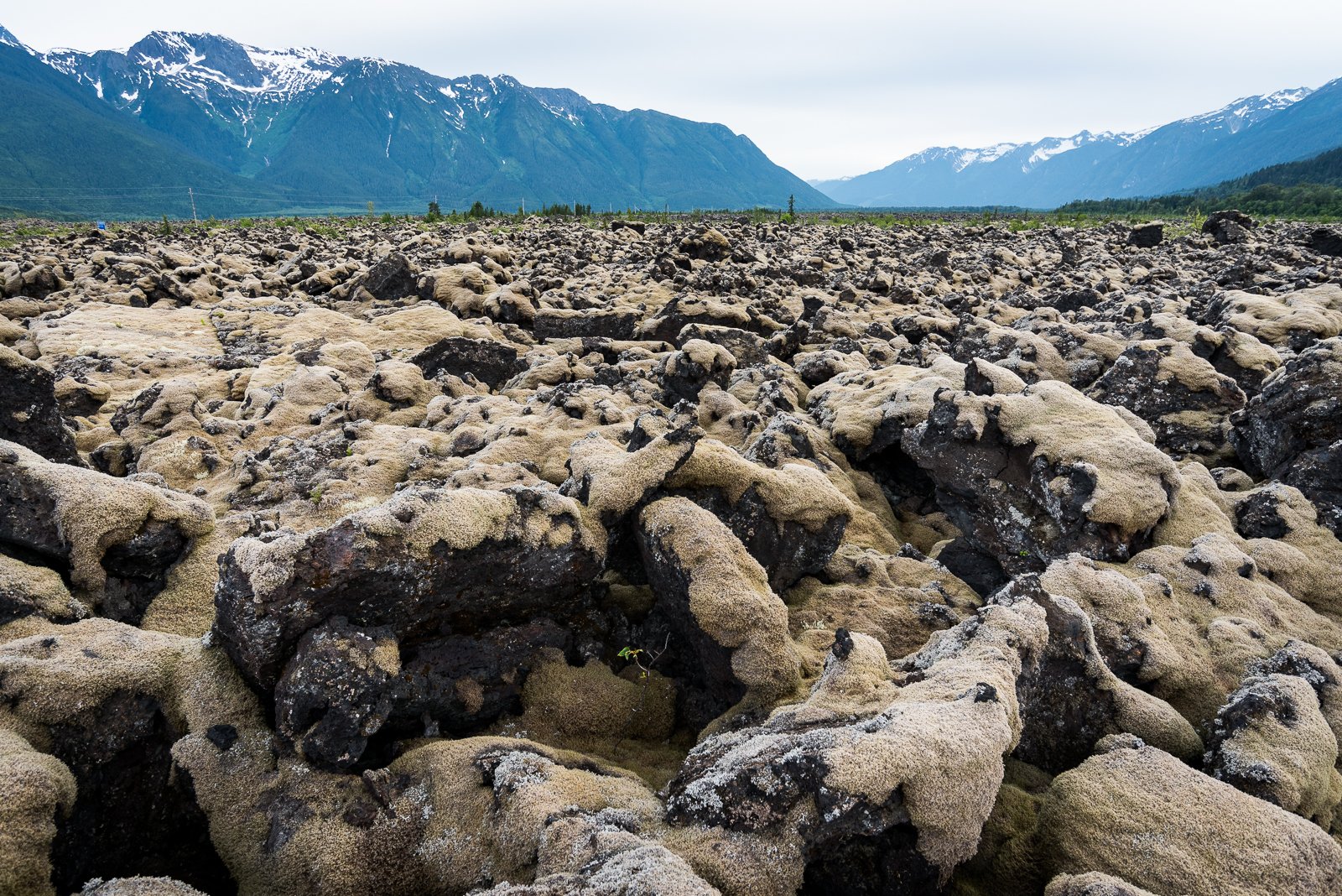 Volcanic Power: The Birth of Lava Beds (image credits: wikimedia)