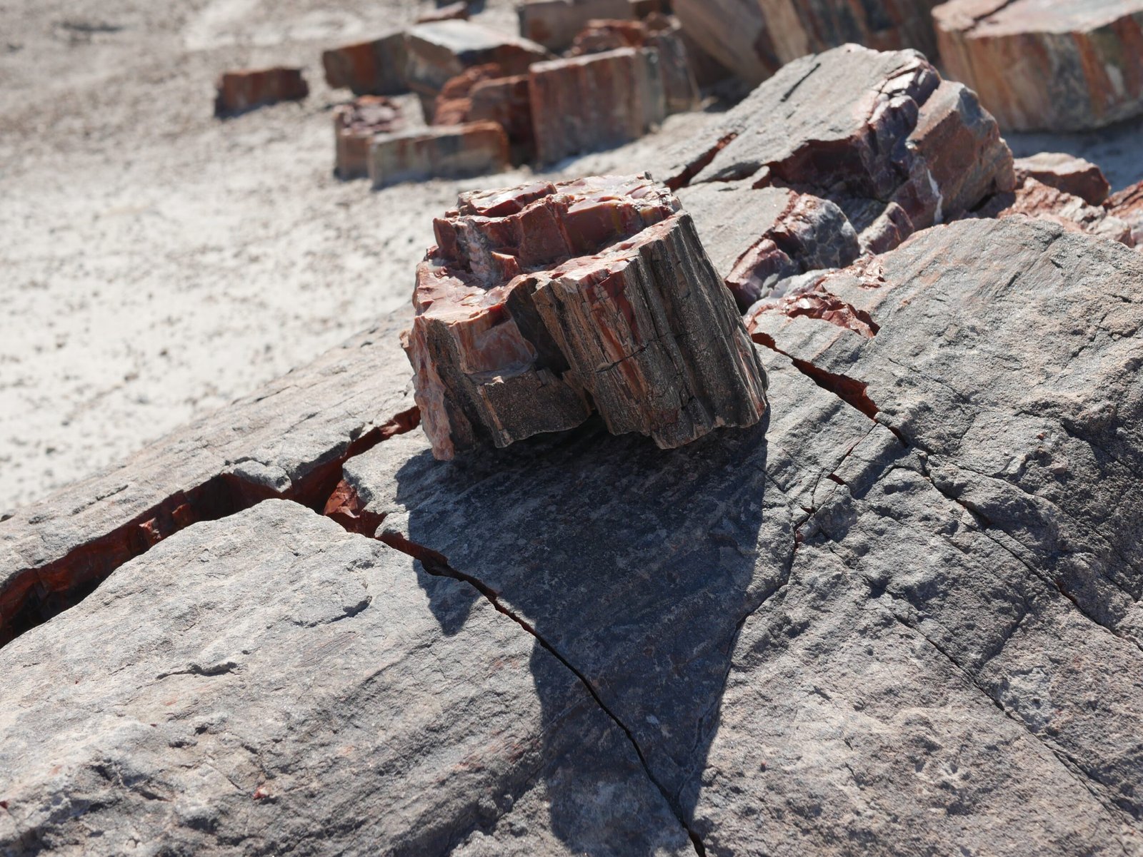 The Science Hidden in Stone (image credits: wikimedia)