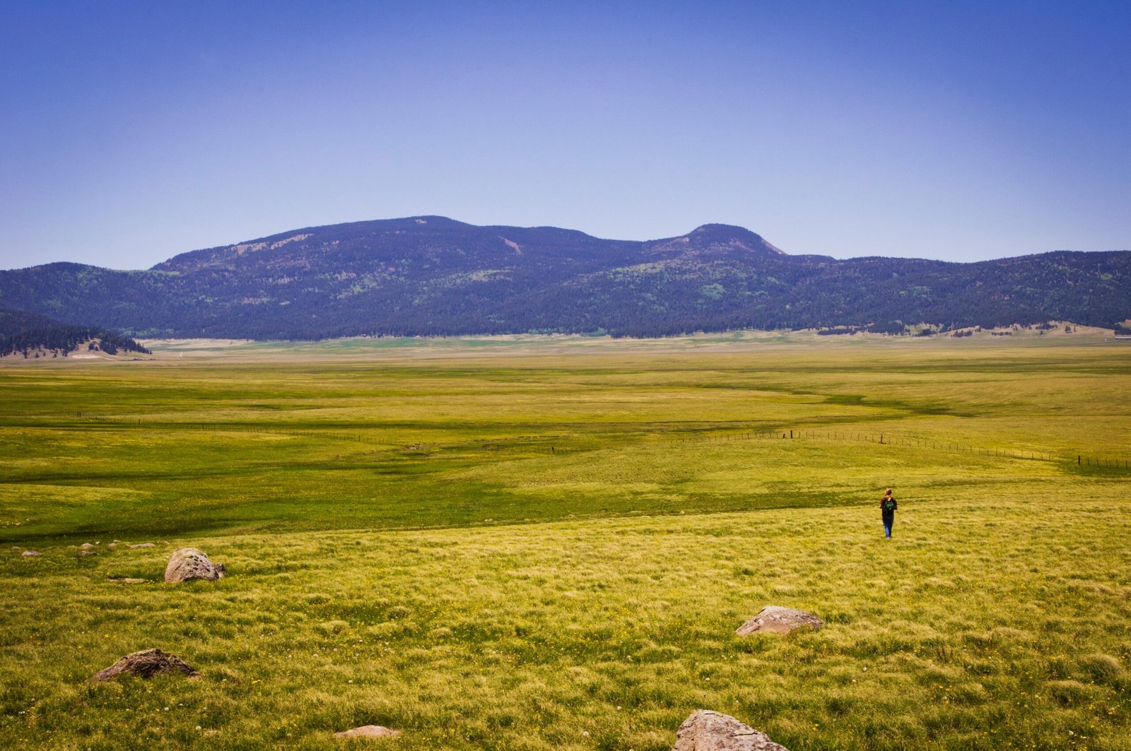 Valles Caldera: A Window Into Earth’s Powerful Forces (image credits: wikimedia)